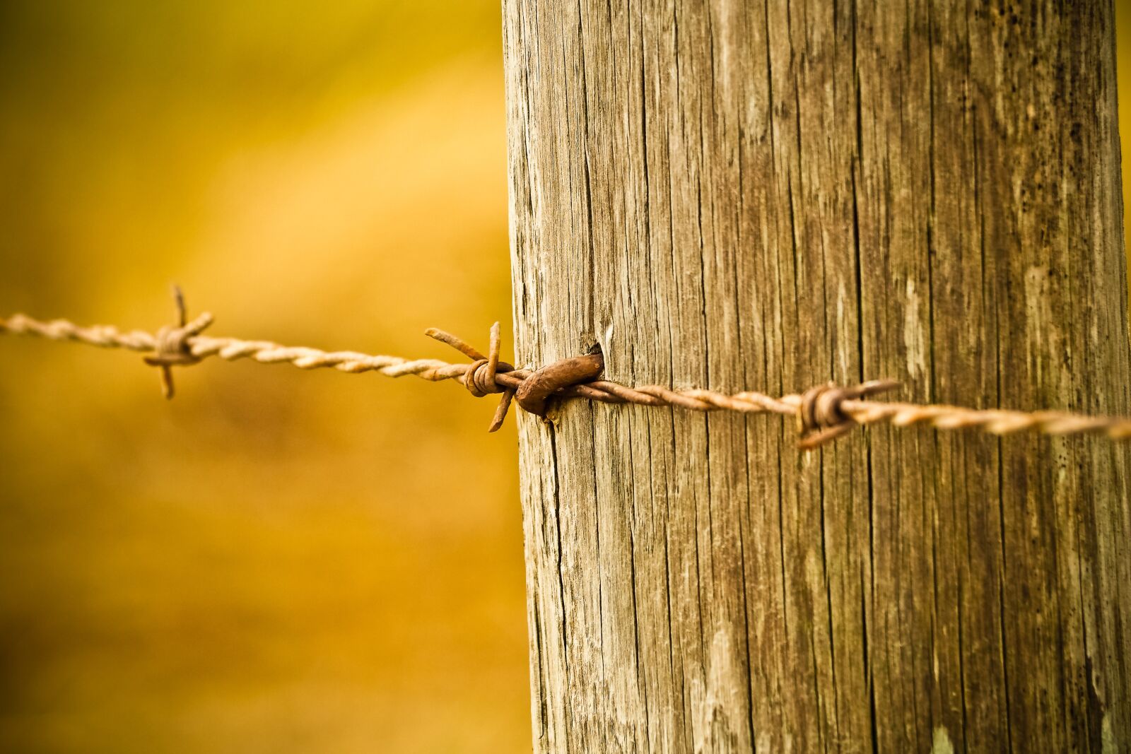 Olympus OM-D E-M10 sample photo. Fence, wood fence, wood photography