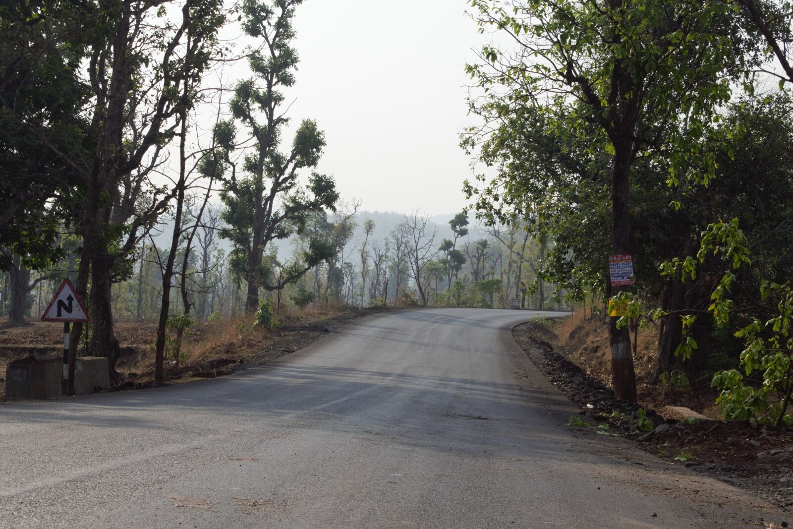 Nikon D3300 sample photo. Road, nature, tree photography