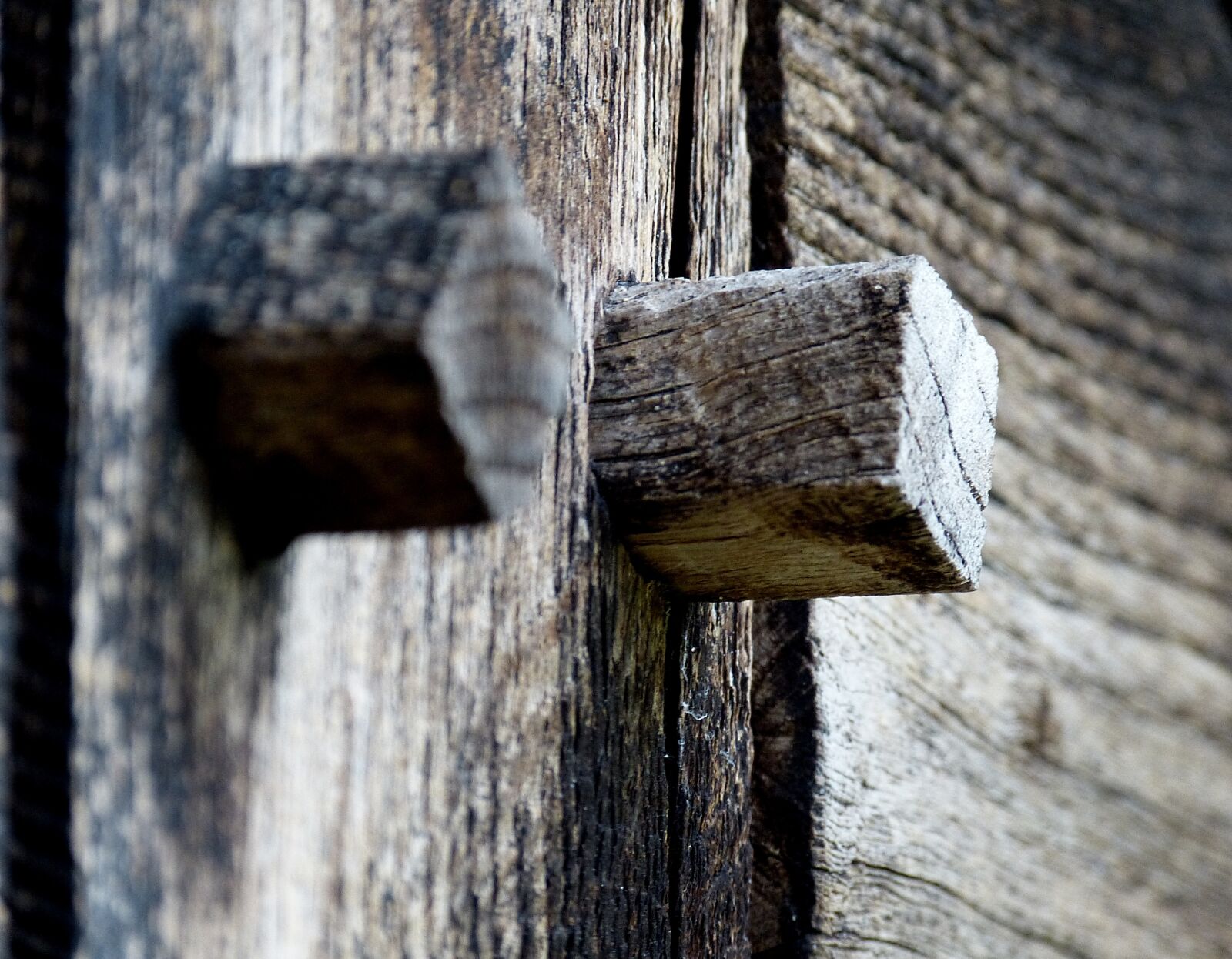 Panasonic Lumix DMC-FZ150 sample photo. Wood, nail, brown photography