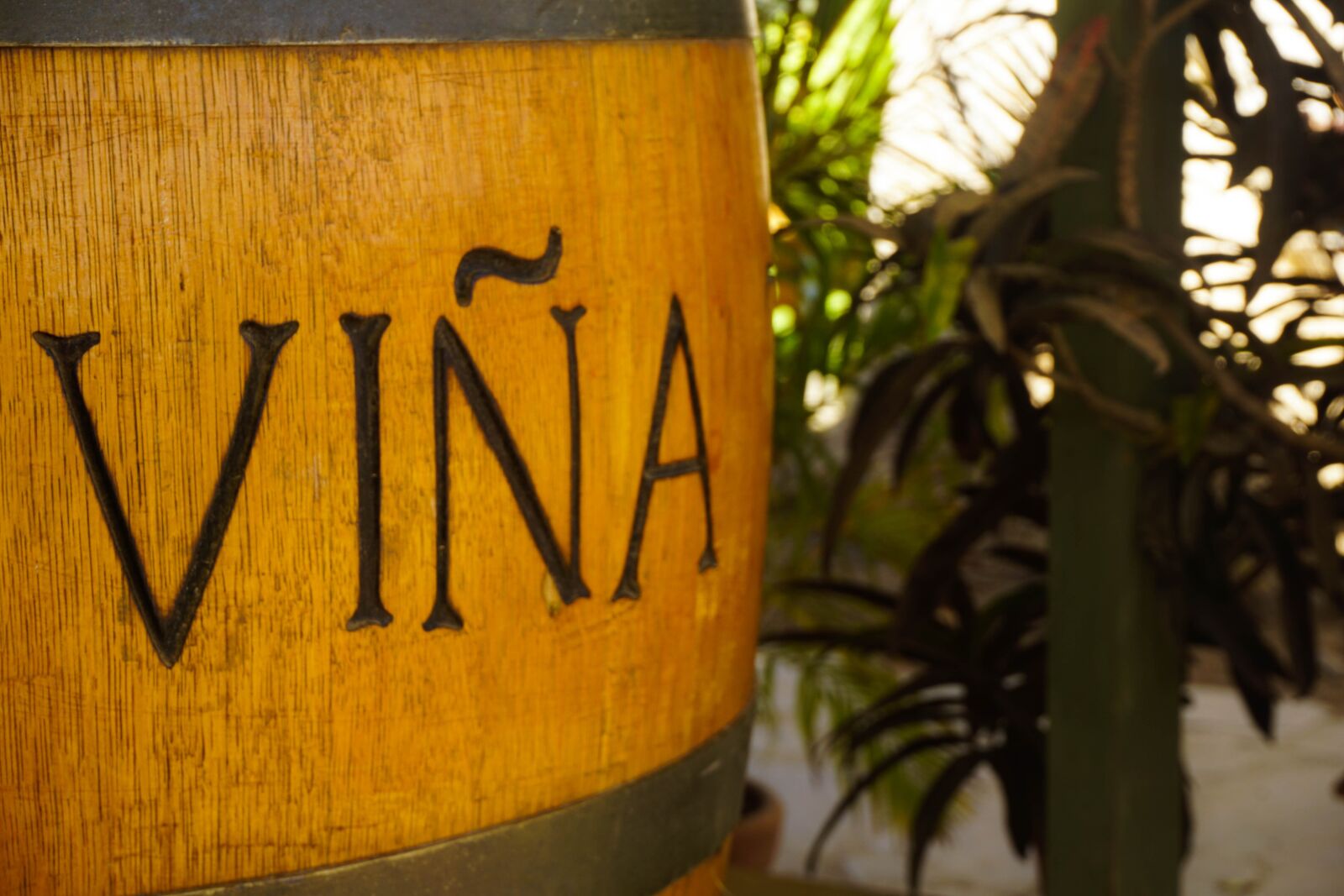 Sony a6000 sample photo. Wine, peru, tacama photography