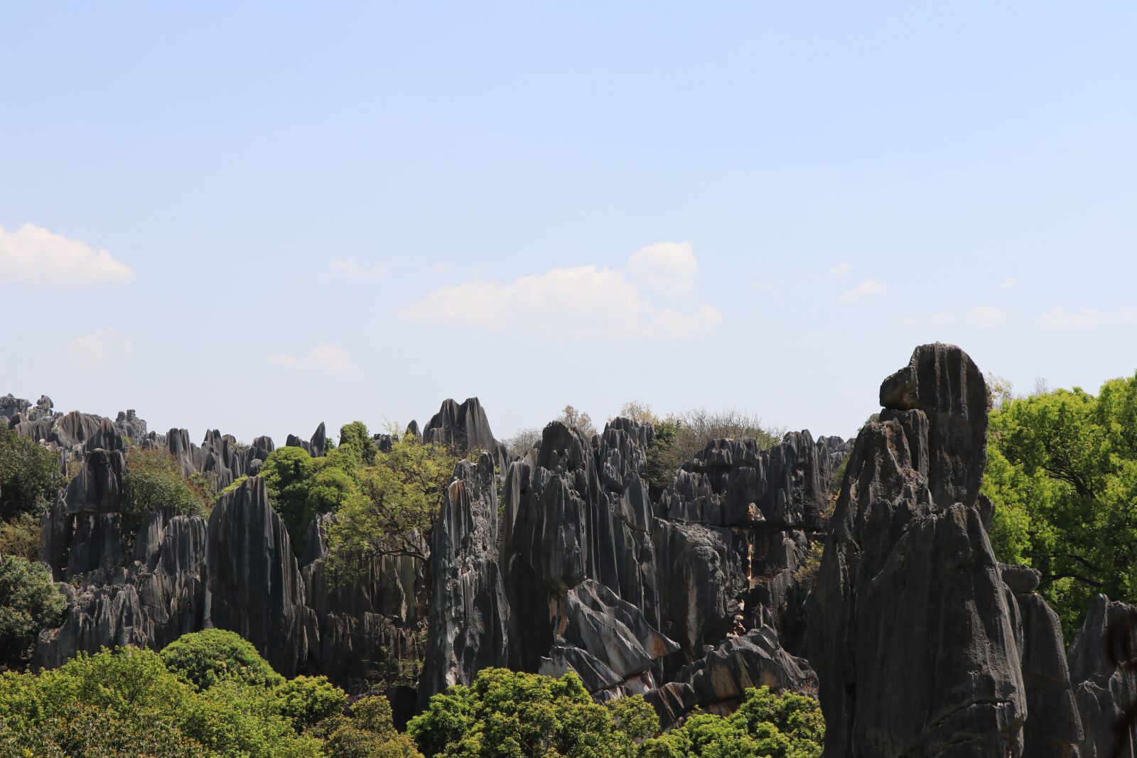 Canon EF-S 18-135mm F3.5-5.6 IS USM sample photo. Stone forest, stone, tree photography