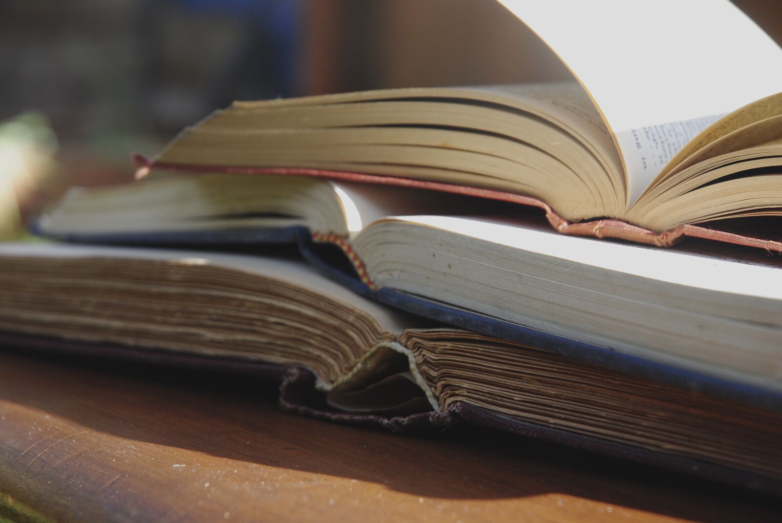 Nikon D3000 sample photo. Books, school, research, antique photography