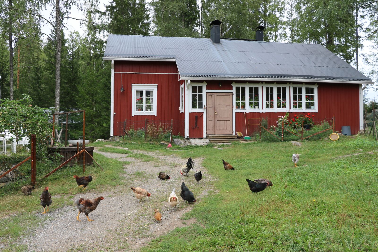 Canon EOS 750D (EOS Rebel T6i / EOS Kiss X8i) sample photo. The old house, countryside photography