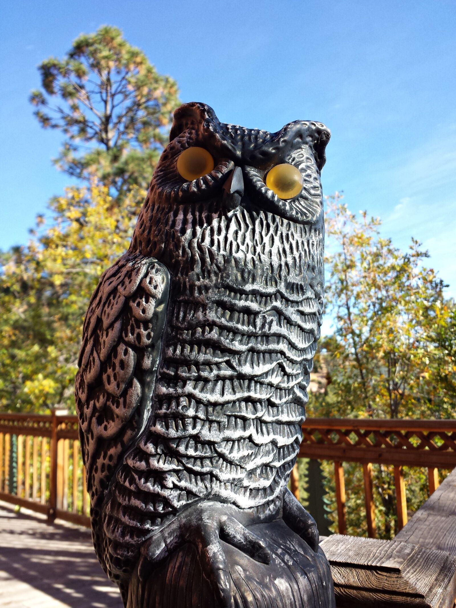 Samsung Galaxy S4 sample photo. Scarecrow, owl, sculpture photography