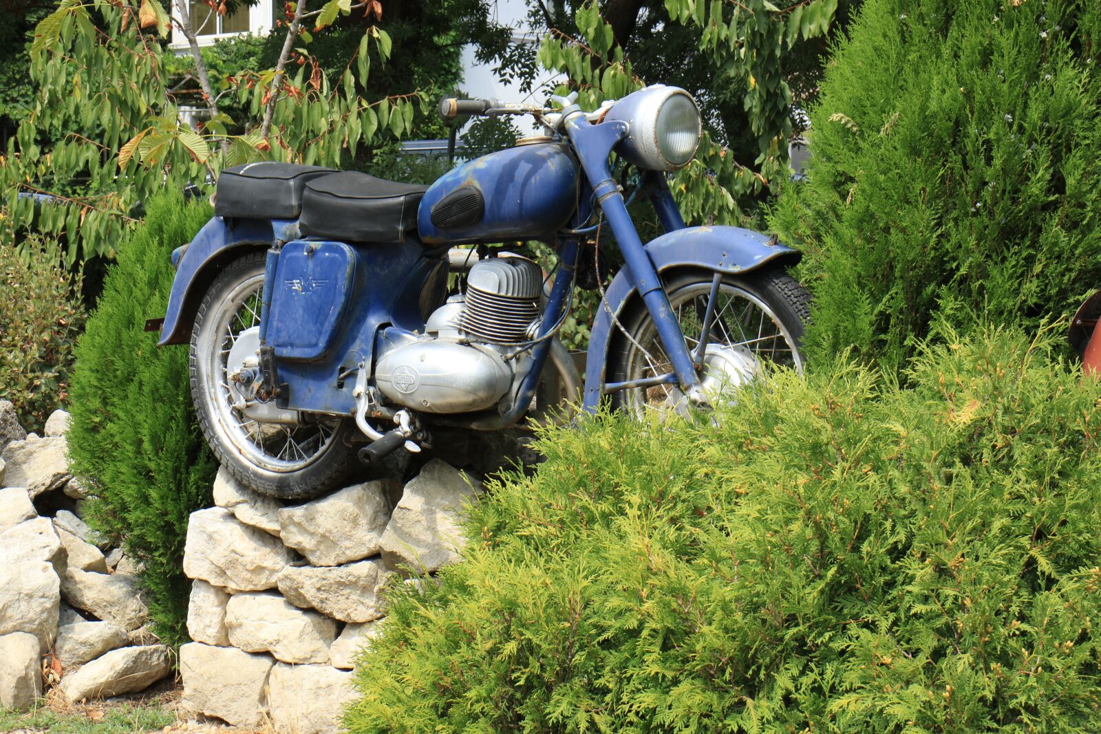 Canon EOS 7D Mark II sample photo. Motorcycle, motor, automotive photography