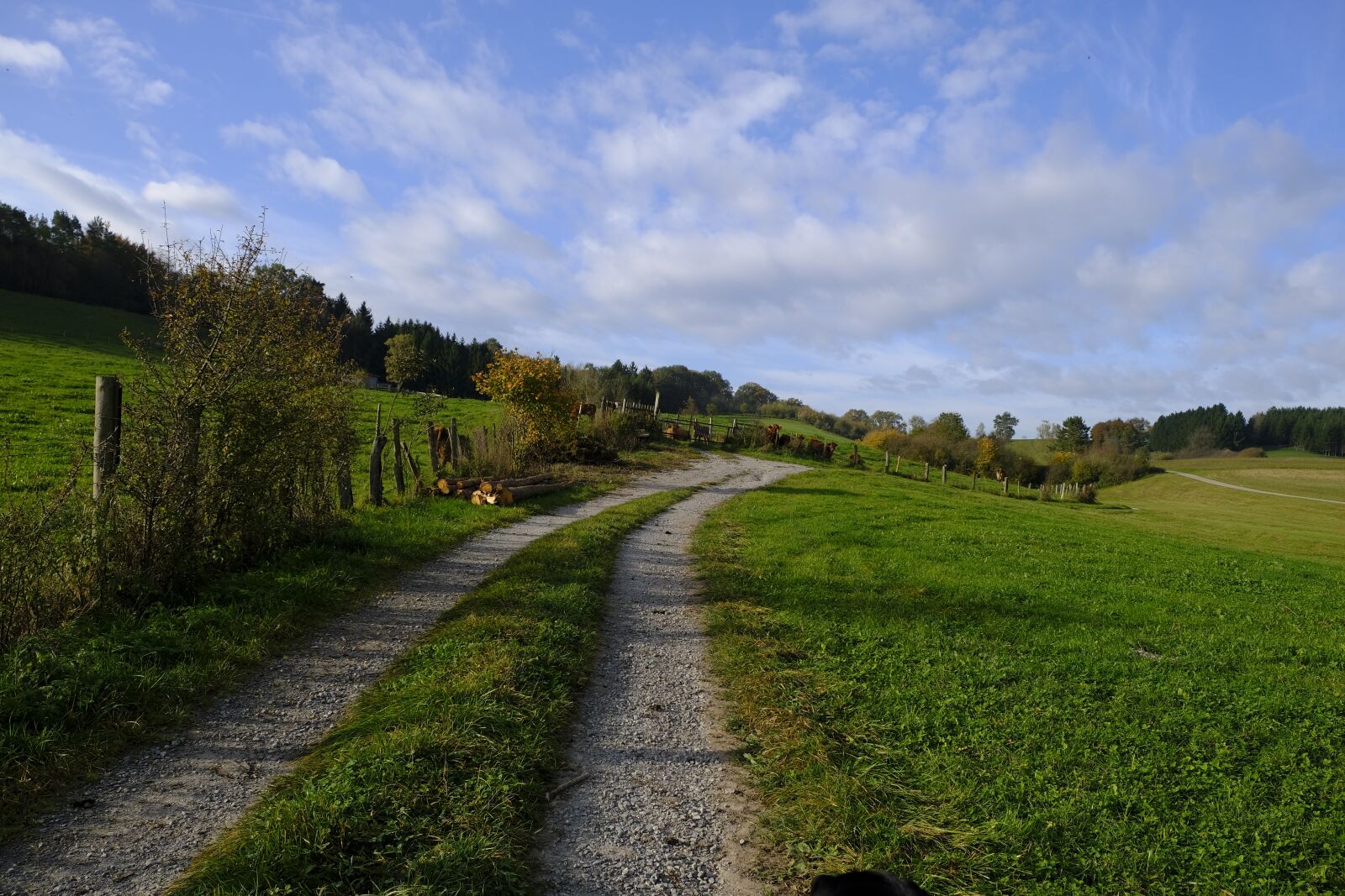Fujifilm XF 18-55mm F2.8-4 R LM OIS sample photo. Away, lane, trail photography