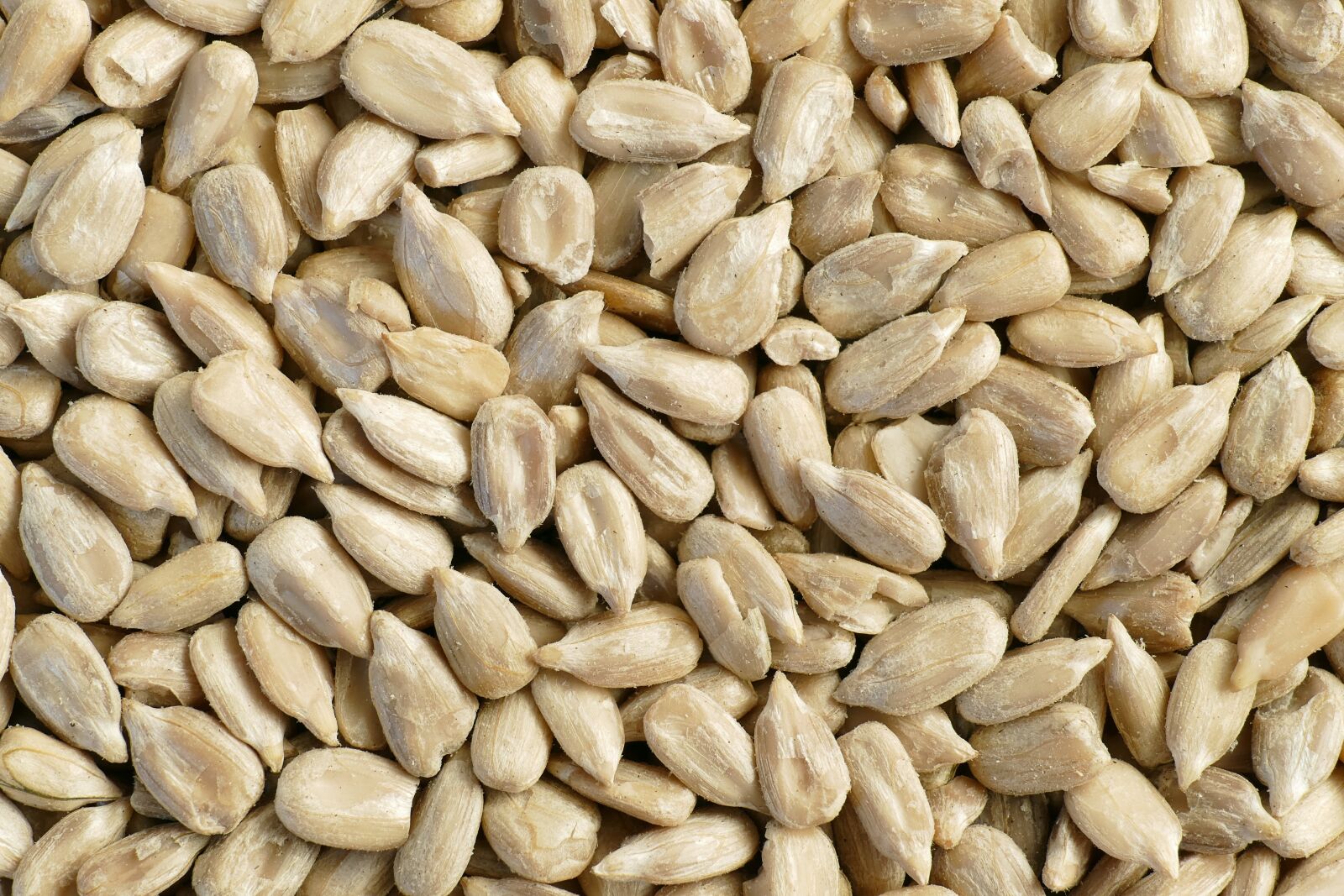 Panasonic Lumix DMC-FZ1000 sample photo. Sunflower seeds, peeled, snack photography