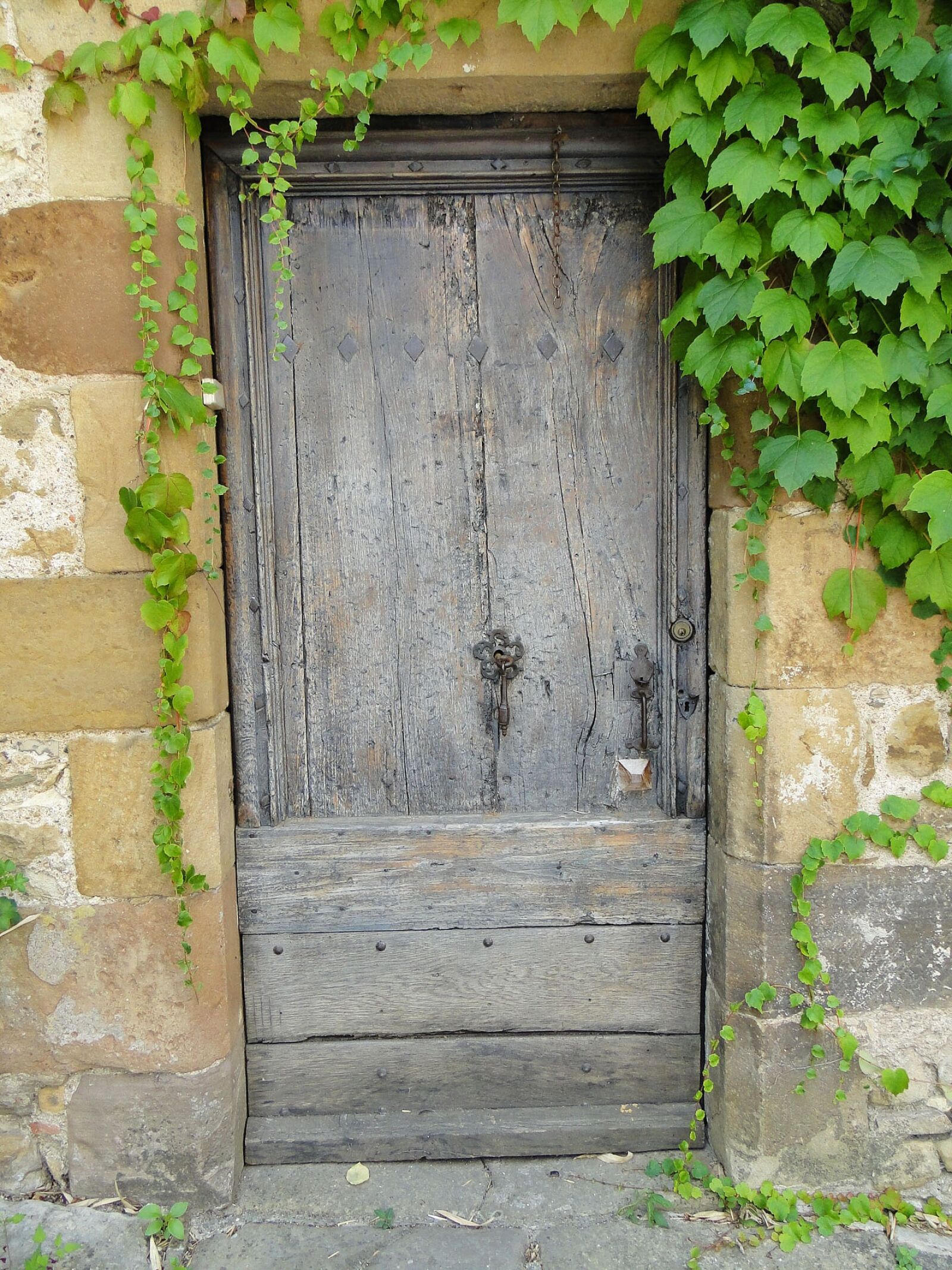 Sony Cyber-shot DSC-HX1 sample photo. Door, old door, door photography