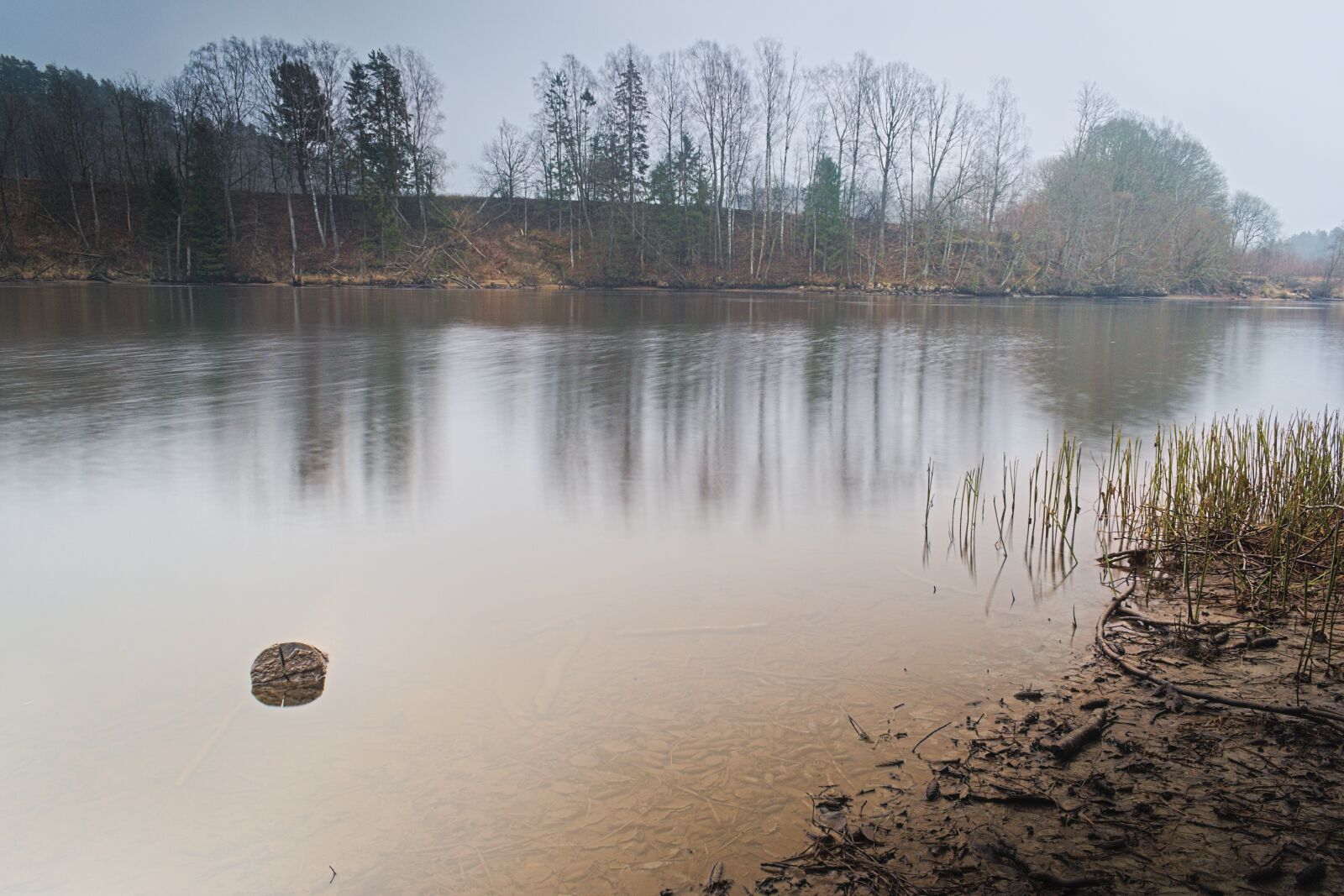 Nikon D3500 sample photo. River, nature, landscape photography