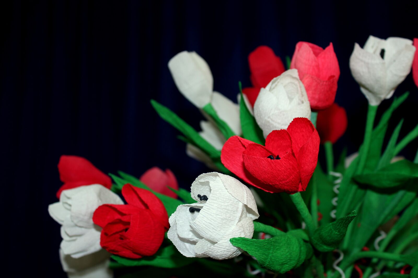Canon EOS 1200D (EOS Rebel T5 / EOS Kiss X70 / EOS Hi) sample photo. Flowers, paper flowers, white photography