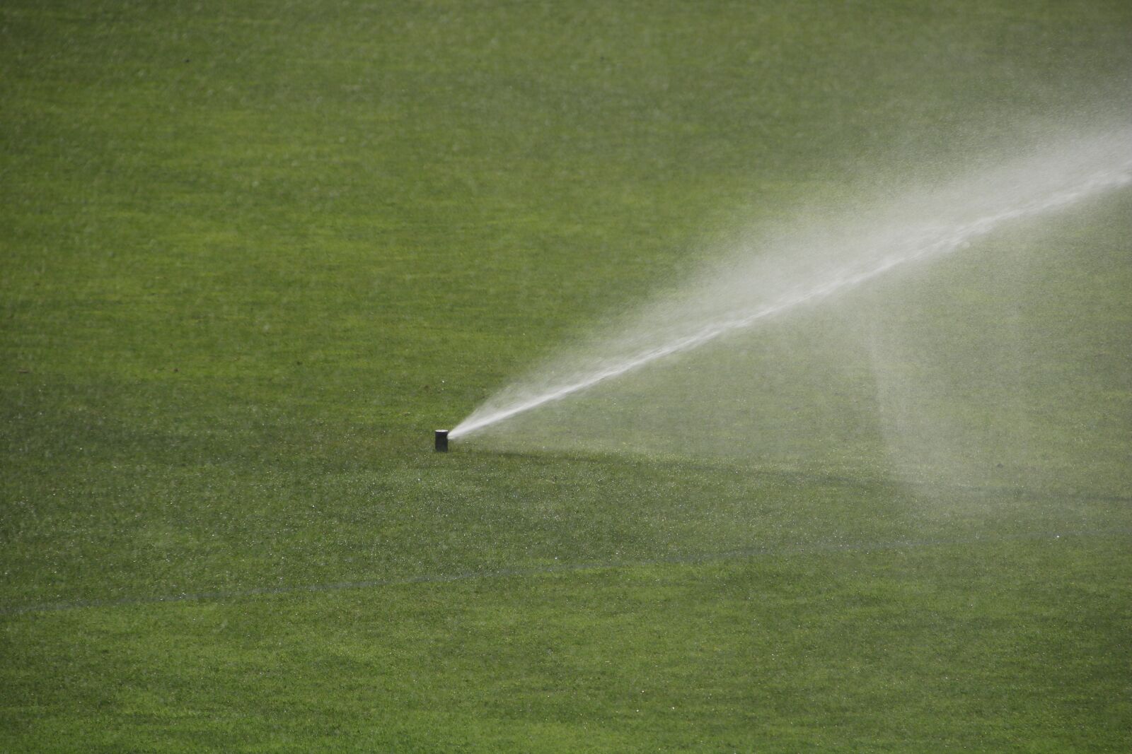 Canon EOS 750D (EOS Rebel T6i / EOS Kiss X8i) sample photo. Football field, spraying, football photography
