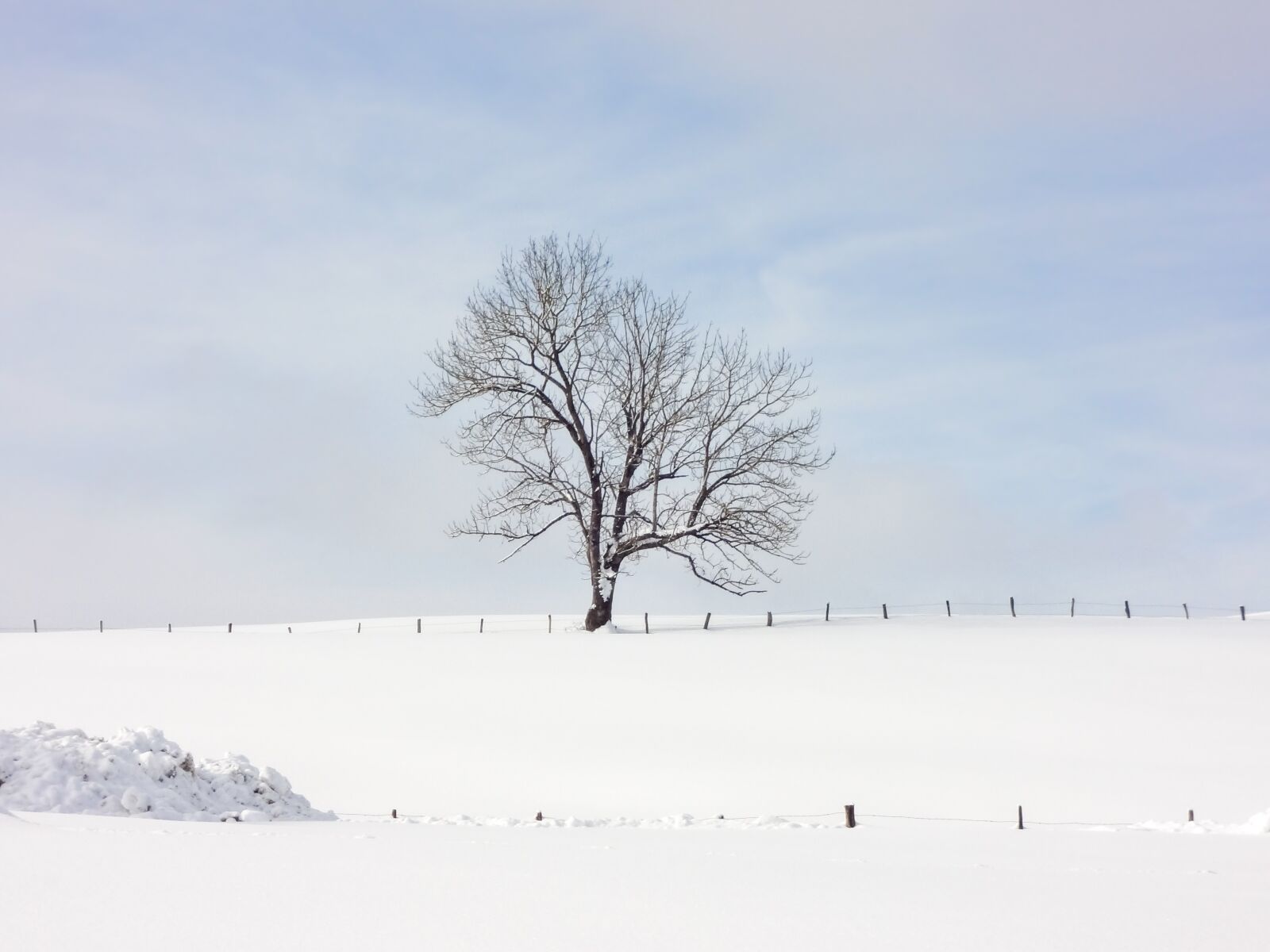 Sony DSC-WX7 sample photo. Tree, snow, mountain photography