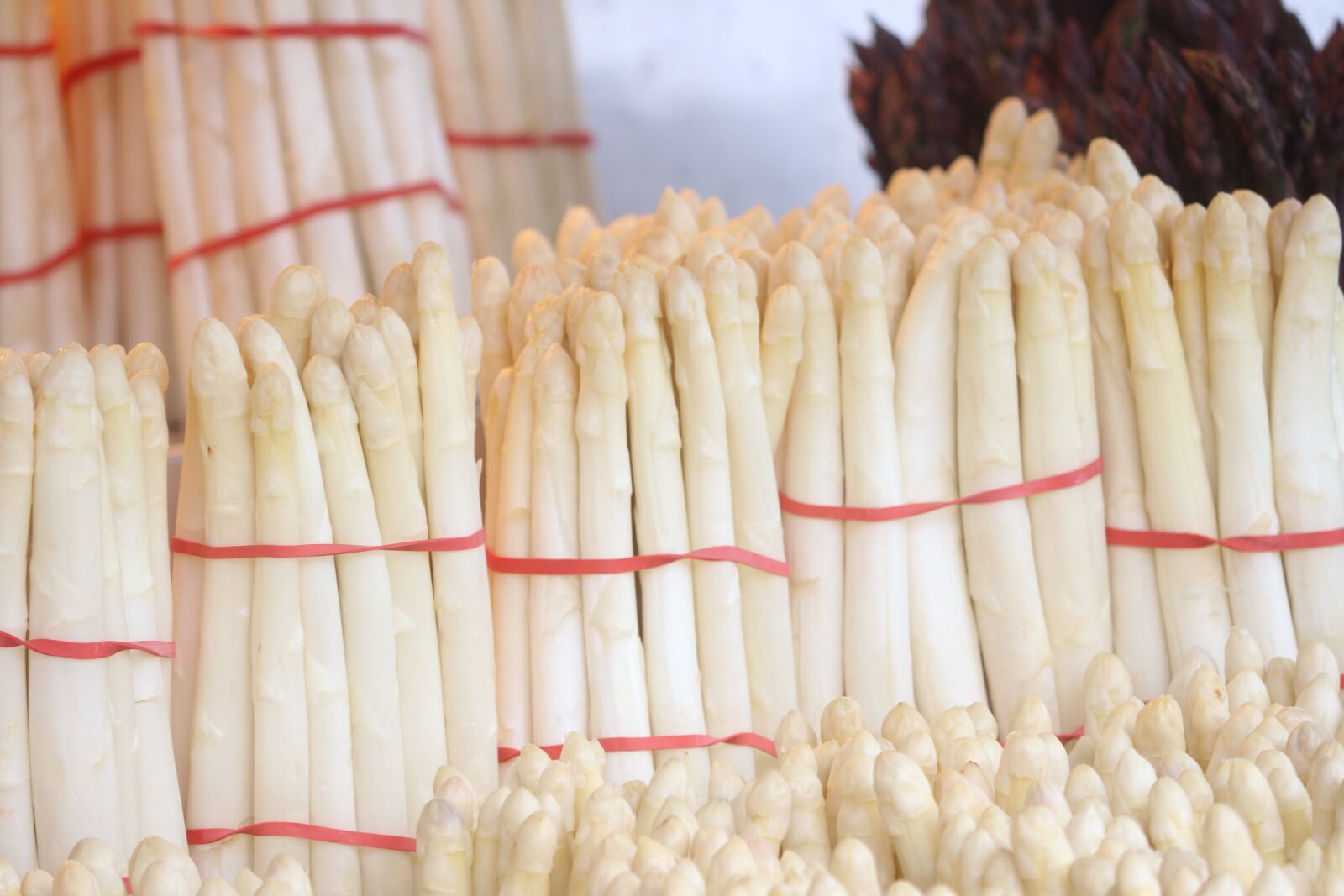 Canon EOS 80D sample photo. Asparagus, may, asparagus time photography