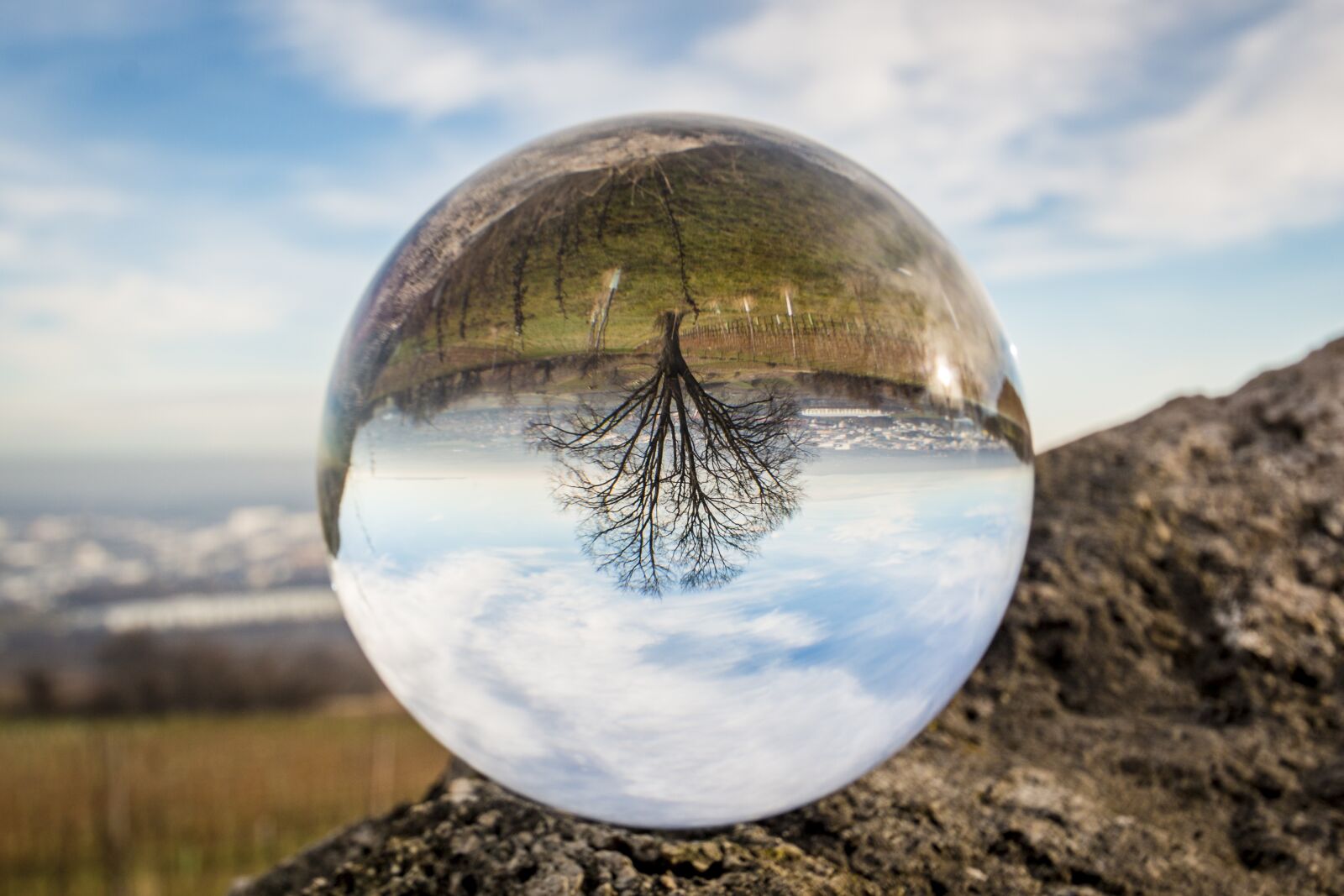 Canon EOS 70D sample photo. Glass ball, glass, ball photography