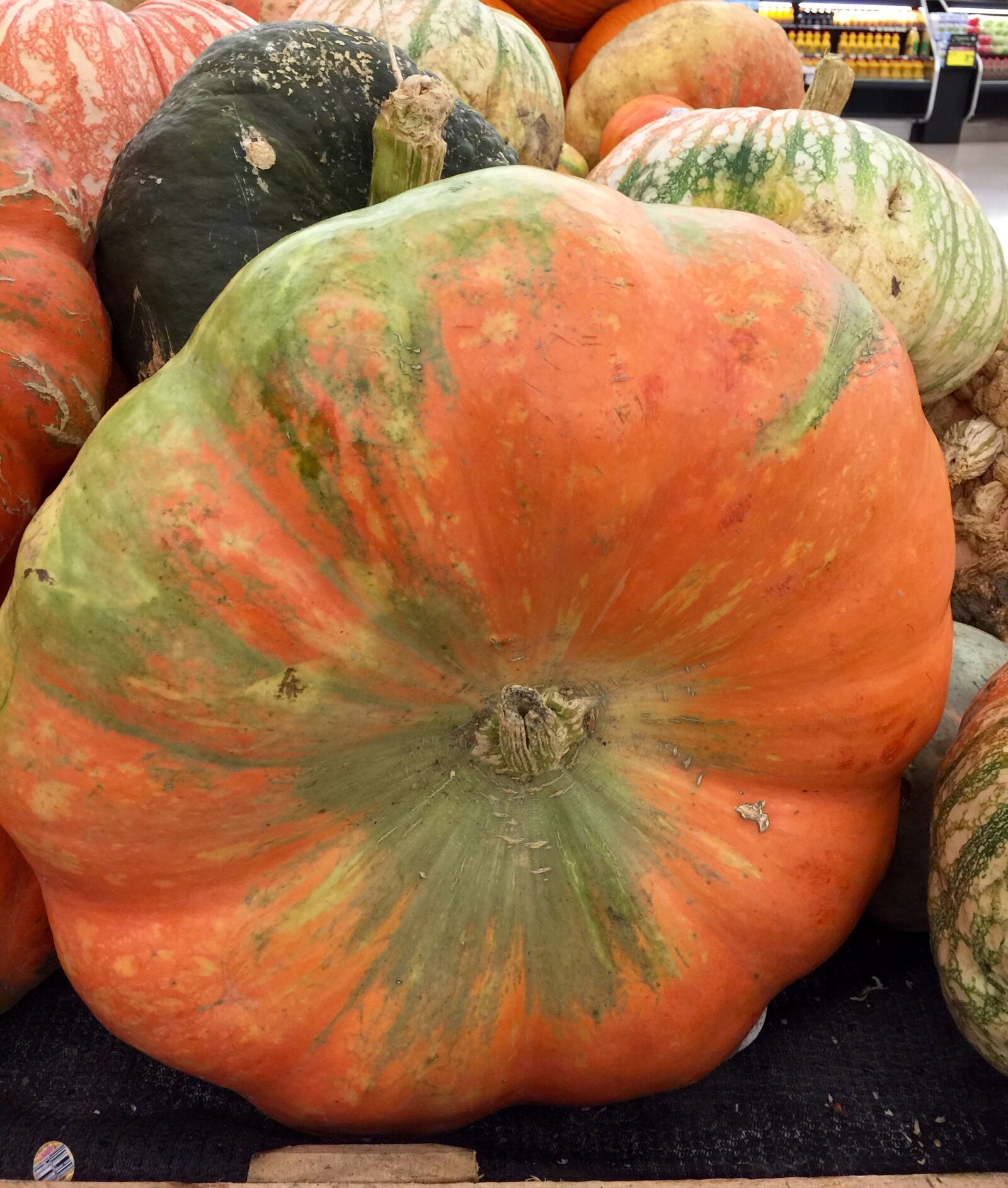 iPhone 6 Plus back camera 4.15mm f/2.2 sample photo. Autumn, decoration, halloween, harvest photography