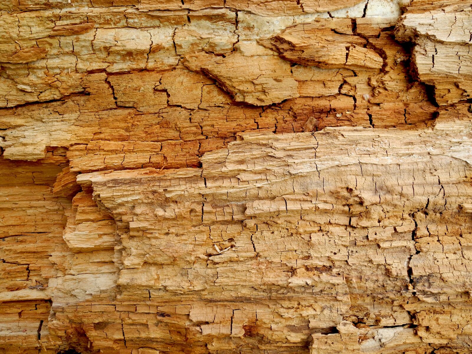 Nikon Coolpix P7000 sample photo. Texture, wood, old photography