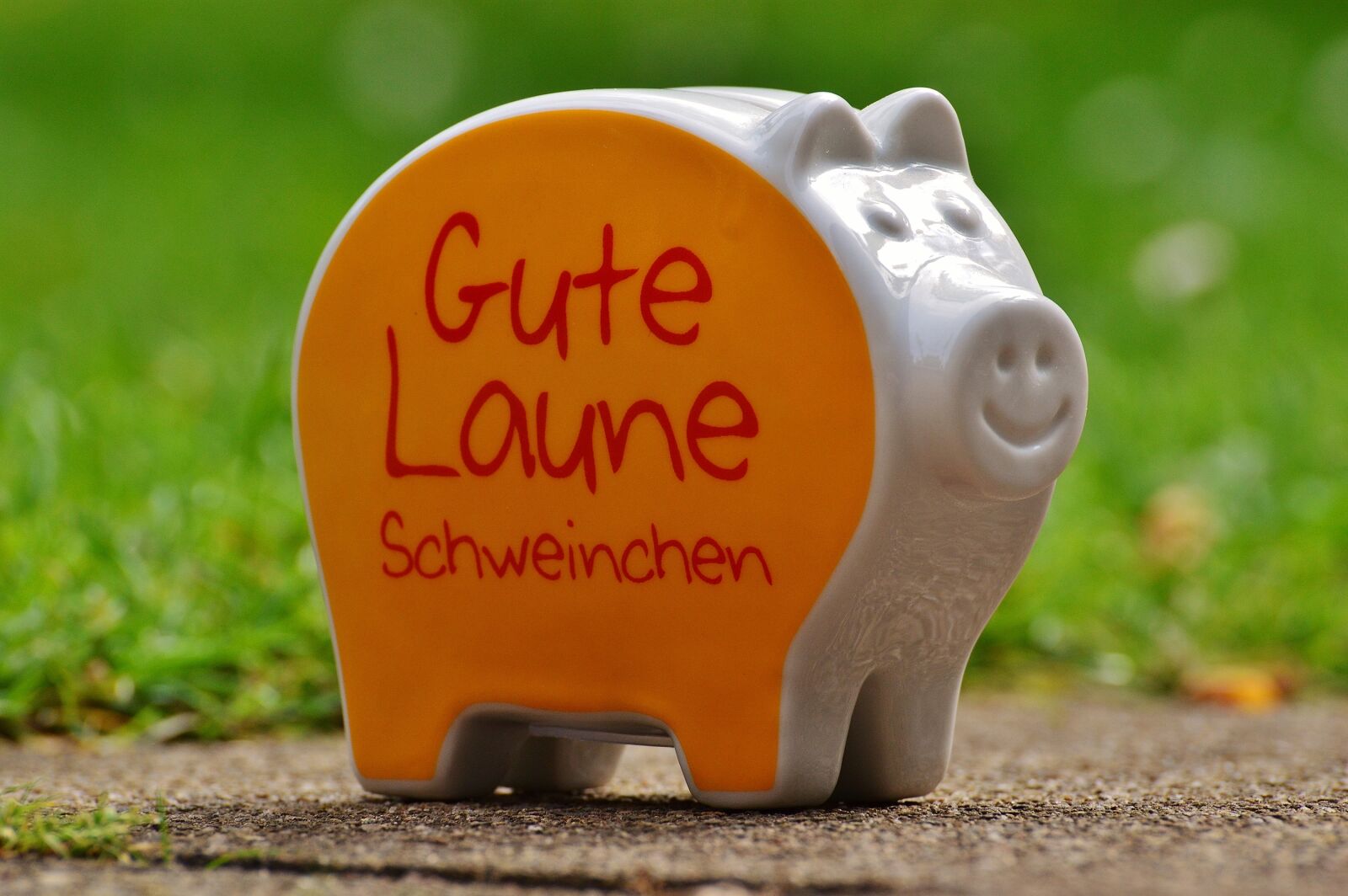 Nikon D3200 sample photo. Piggy bank, smiley, funny photography