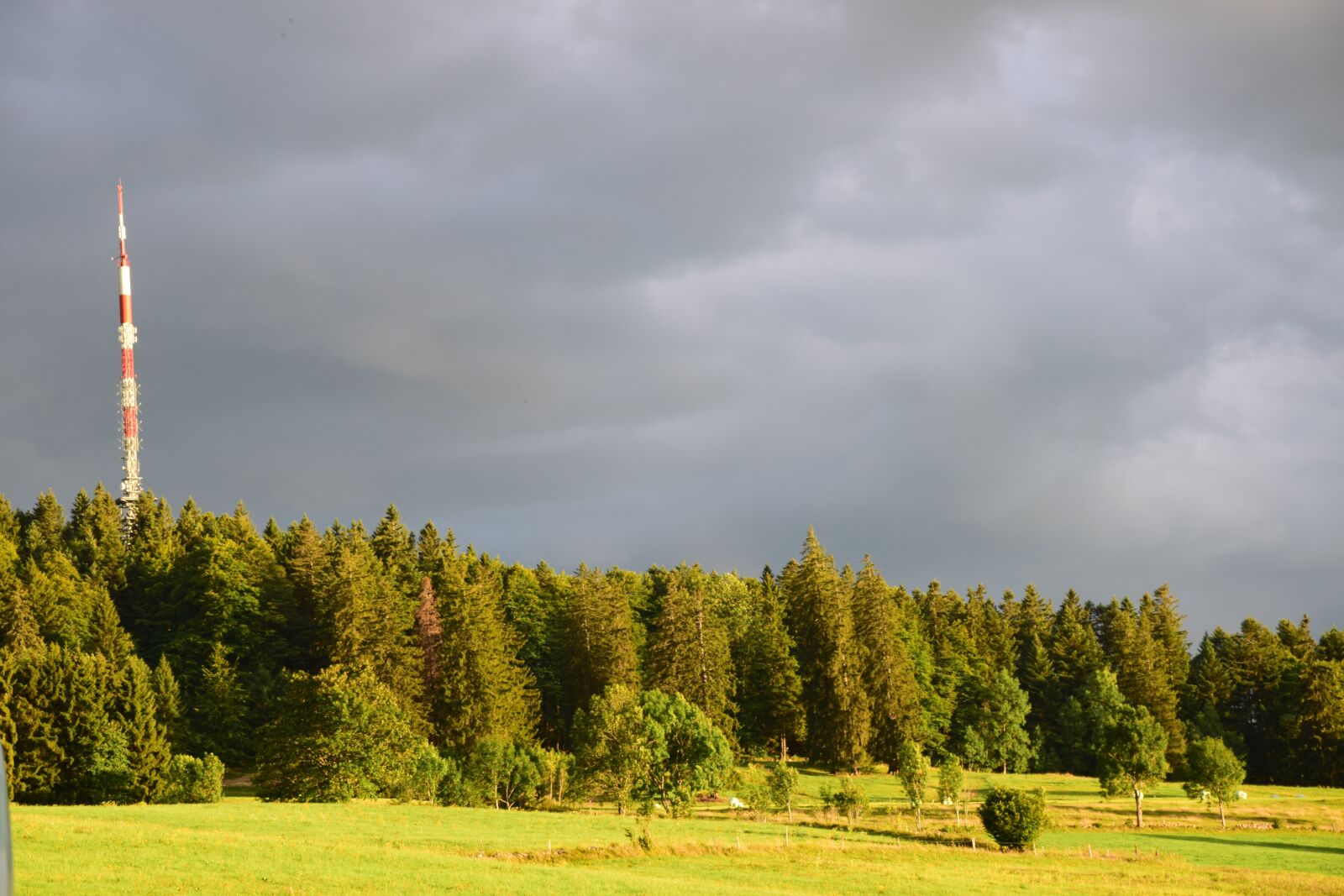 Nikon D5300 sample photo. Fall, forest, antenna photography