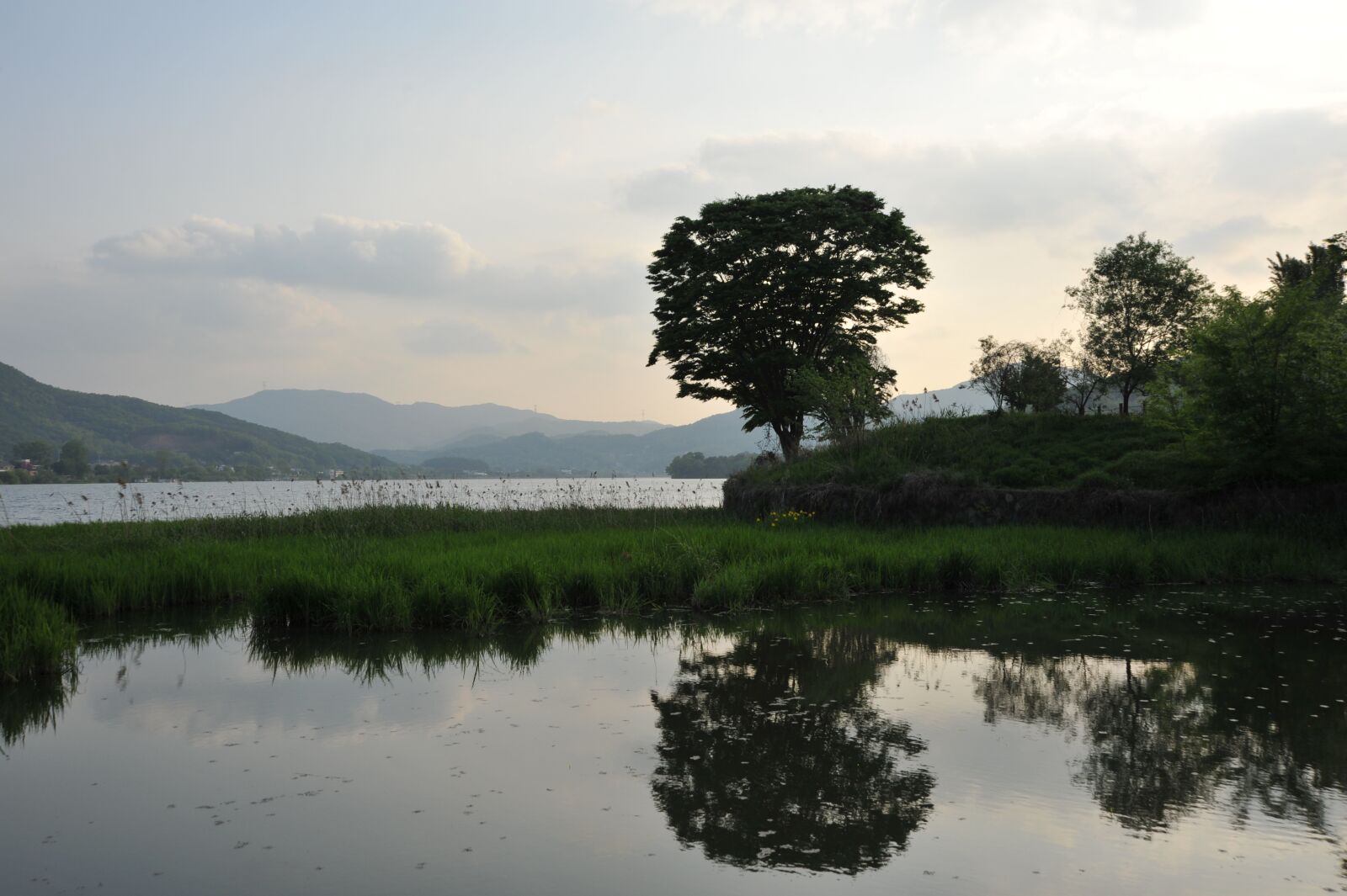 Nikon D700 sample photo. Riverside, river, crucian carp photography