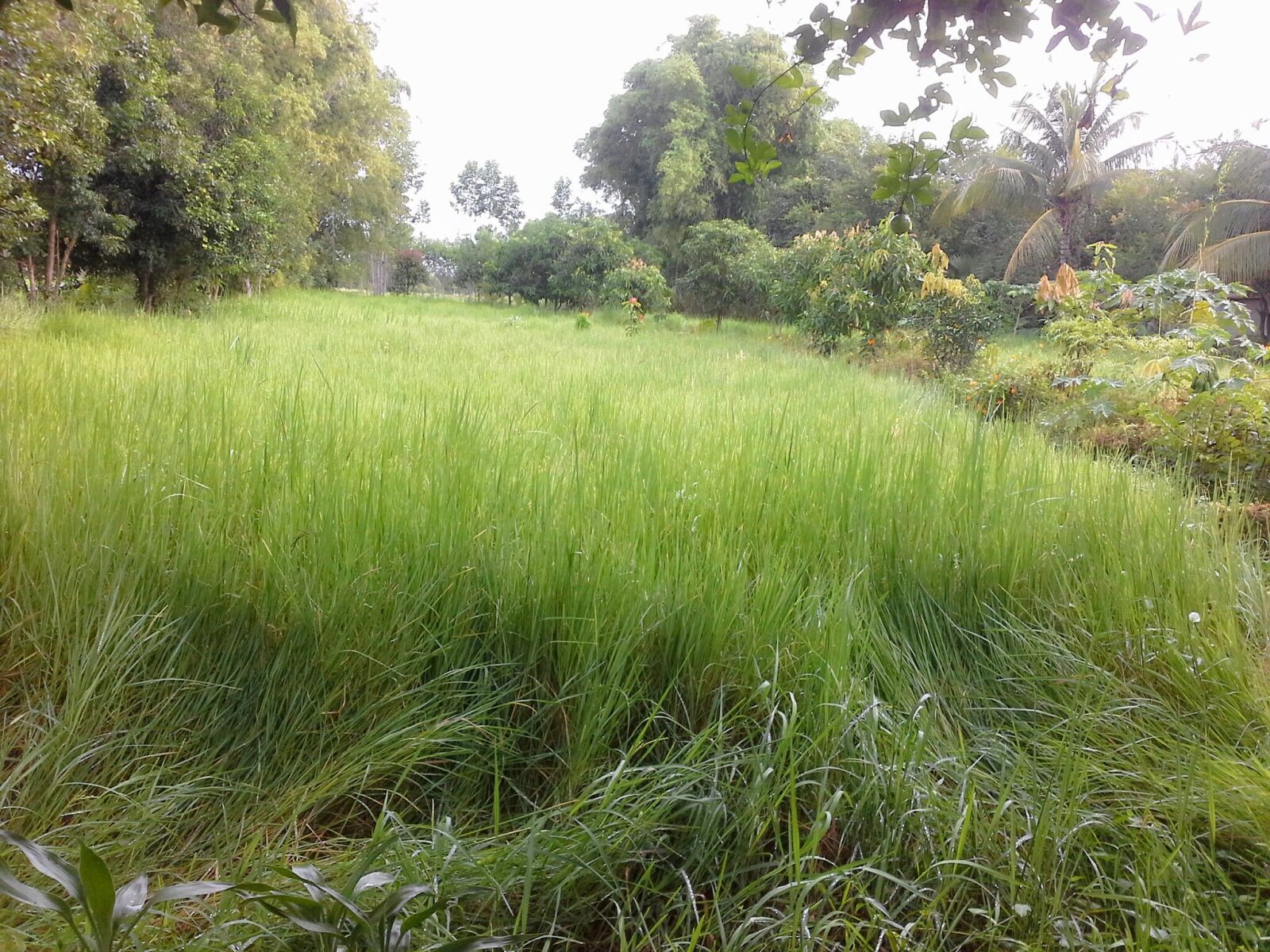 Samsung Galaxy Note 10.1 sample photo