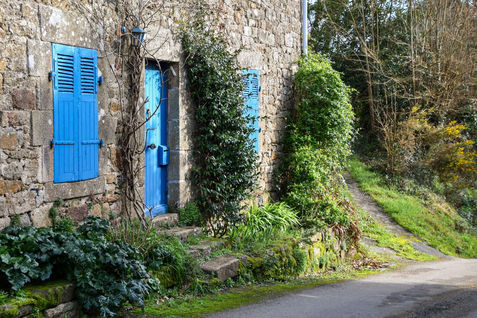 Nikon D500 sample photo. House, facade, field photography