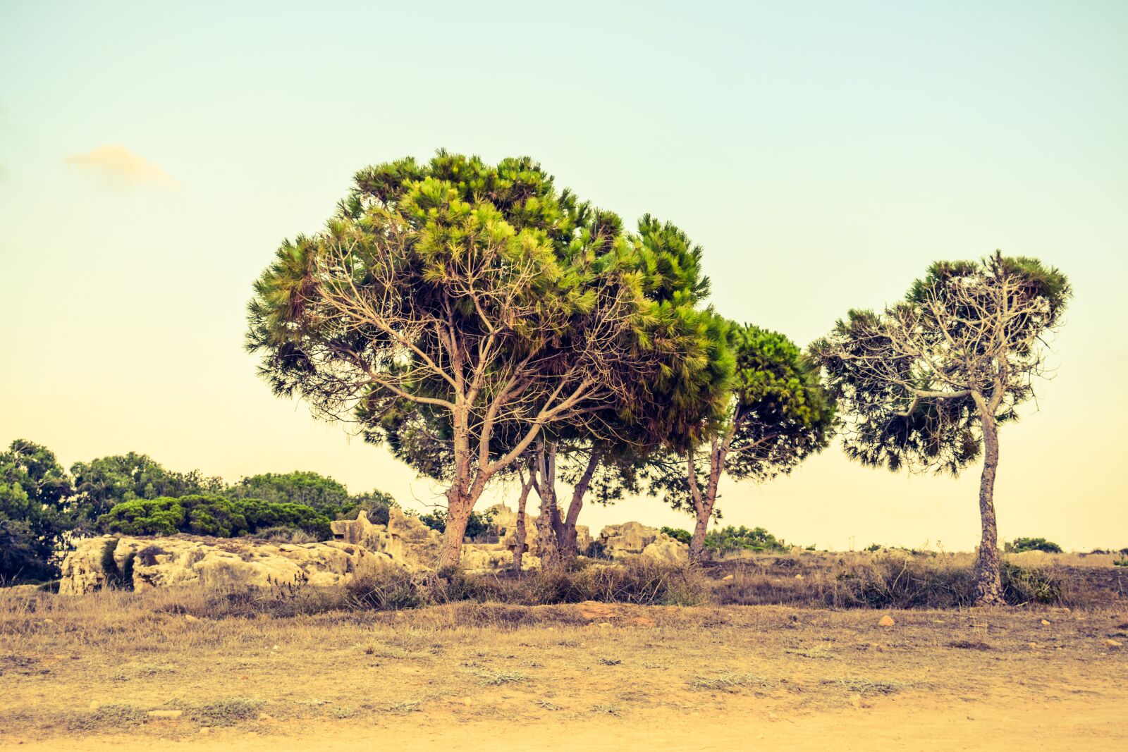 Nikon D3300 sample photo. Cyprus, paphos, tombs of photography