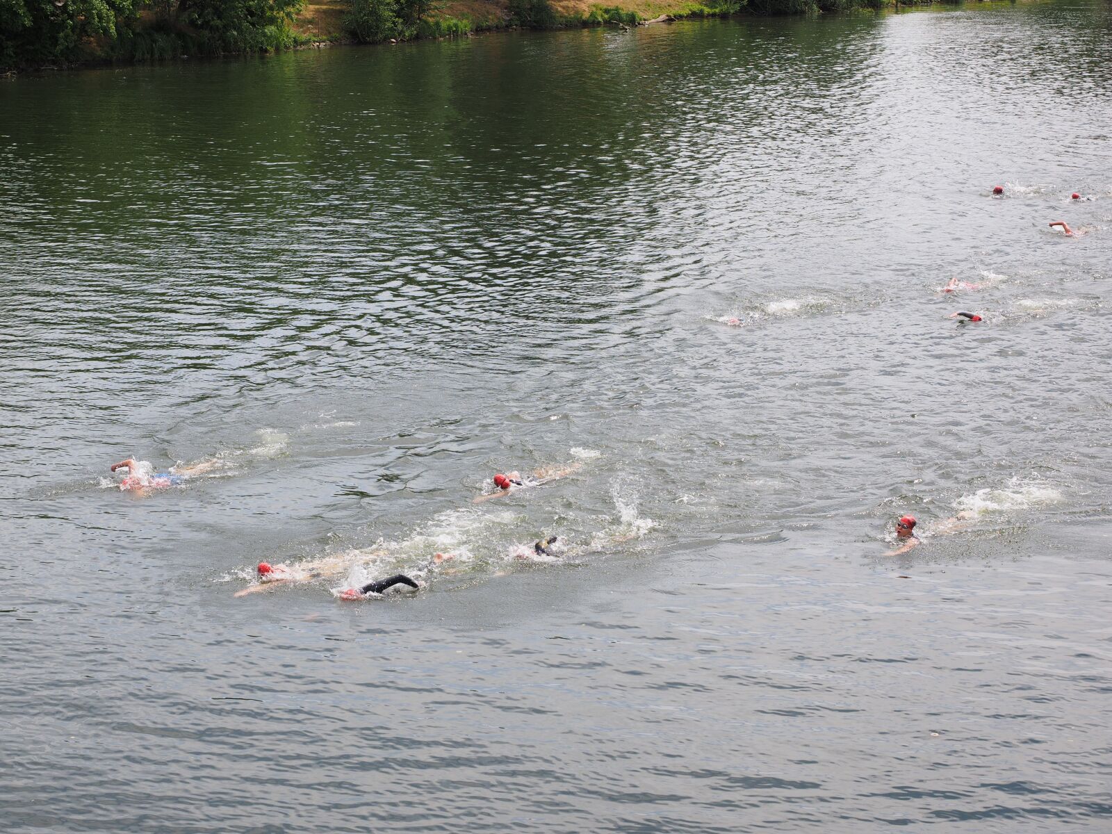 Olympus M.Zuiko Digital ED 12-40mm F2.8 Pro sample photo. Swim, competition, triathlon photography