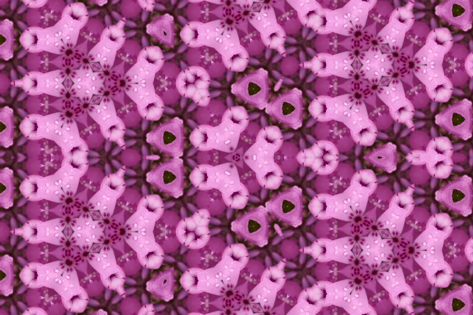 Sony SLT-A58 sample photo. Ornament, pattern, texture photography