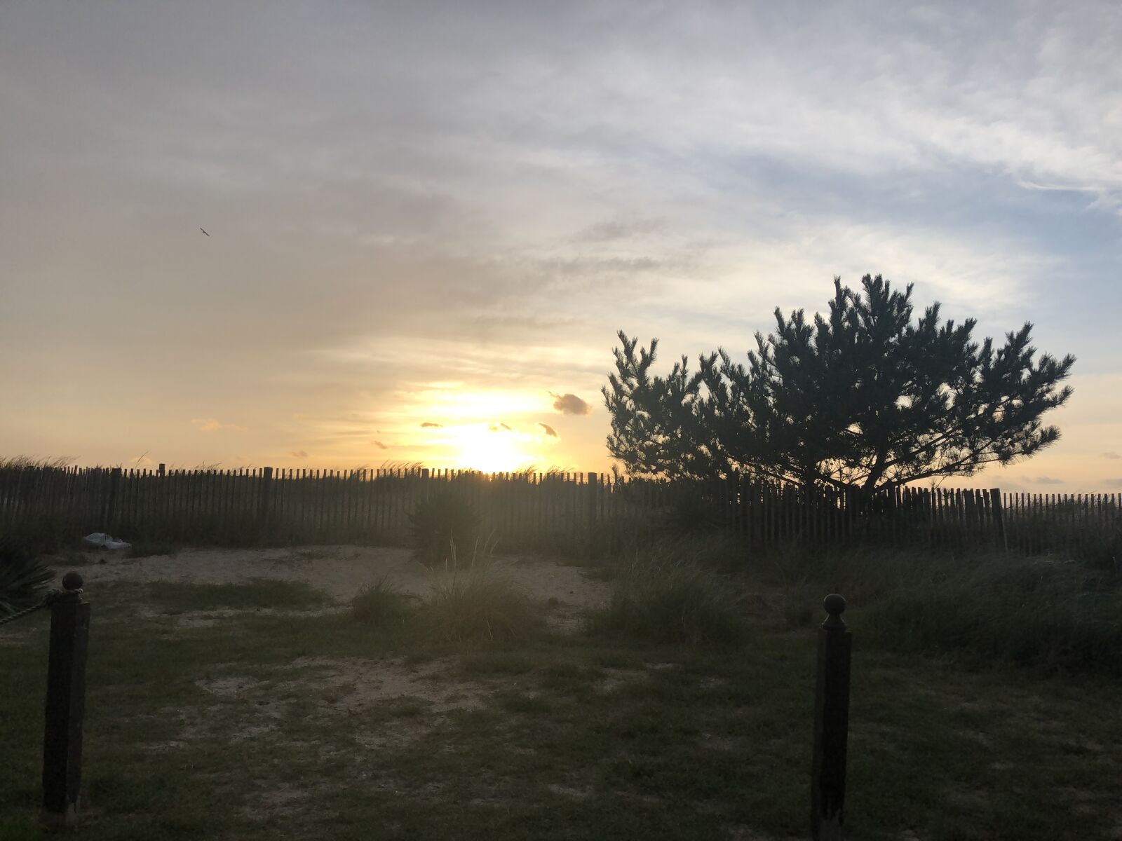 Apple iPhone 8 sample photo. Sunrise, dunes, beach photography