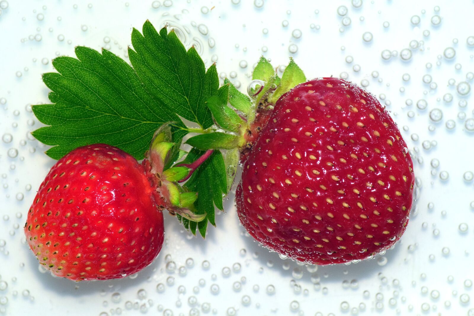 Nikon D3300 sample photo. Strawberries, red, sweet photography