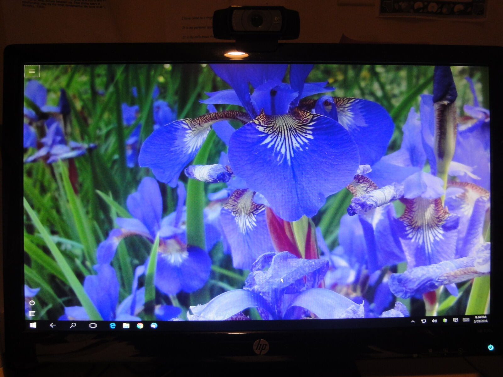 Sony Cyber-shot DSC-WX1 sample photo. Blue, iris photography
