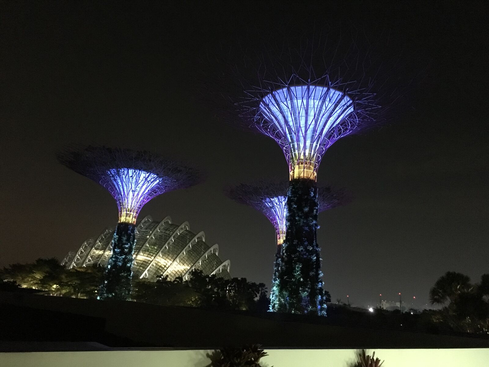 Apple iPhone 6s sample photo. Singapore, blue, garden city photography
