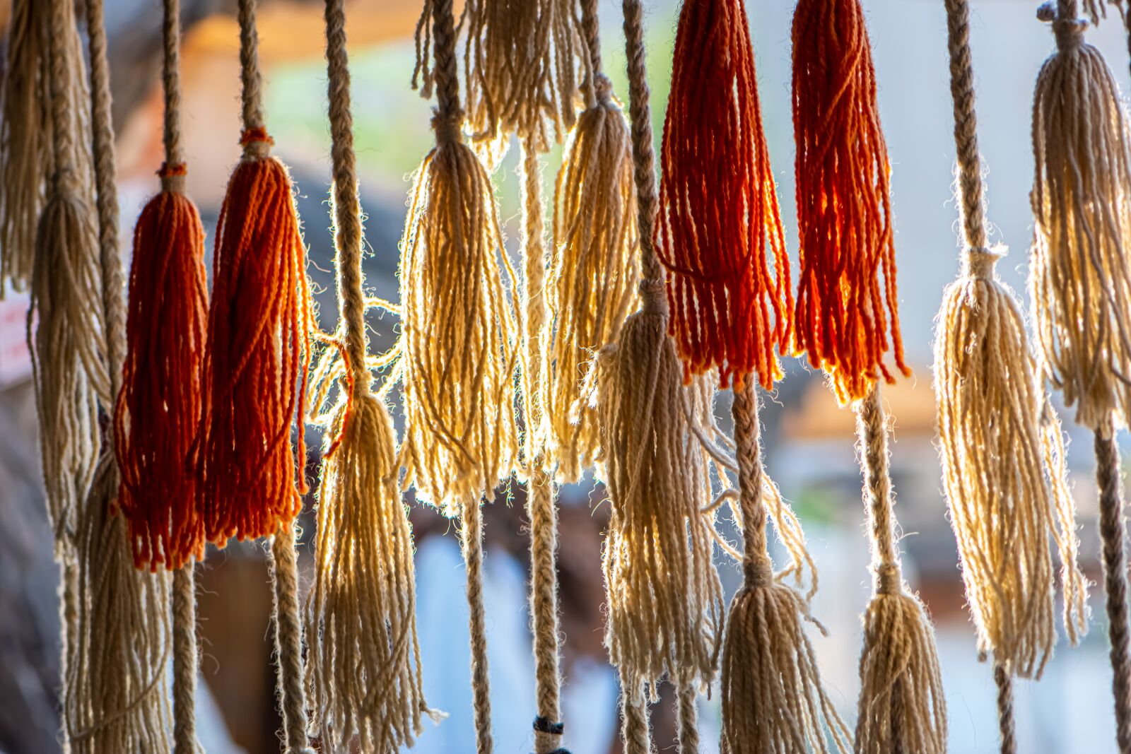 Nikon D5600 sample photo. Decor, decoration, design photography