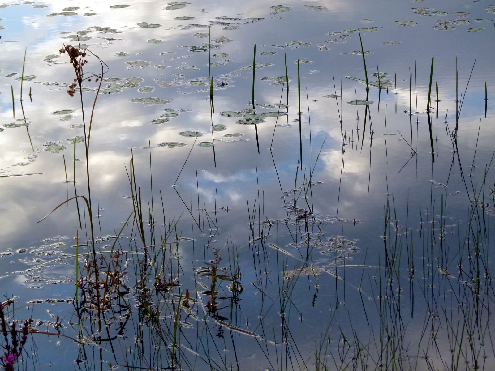 Panasonic Lumix DMC-FZ100 sample photo. Water, reflection, lake photography