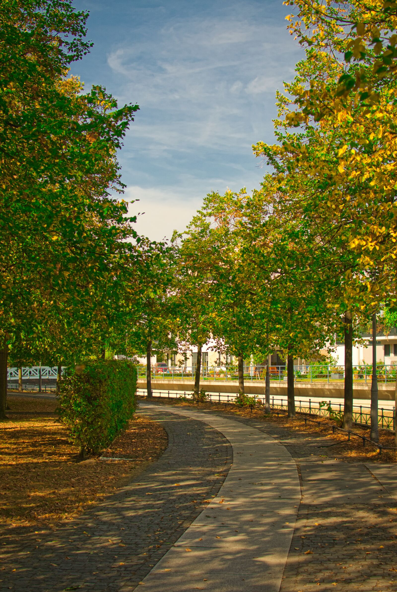 Nikon D3100 sample photo. Autumn, promenade, walk photography