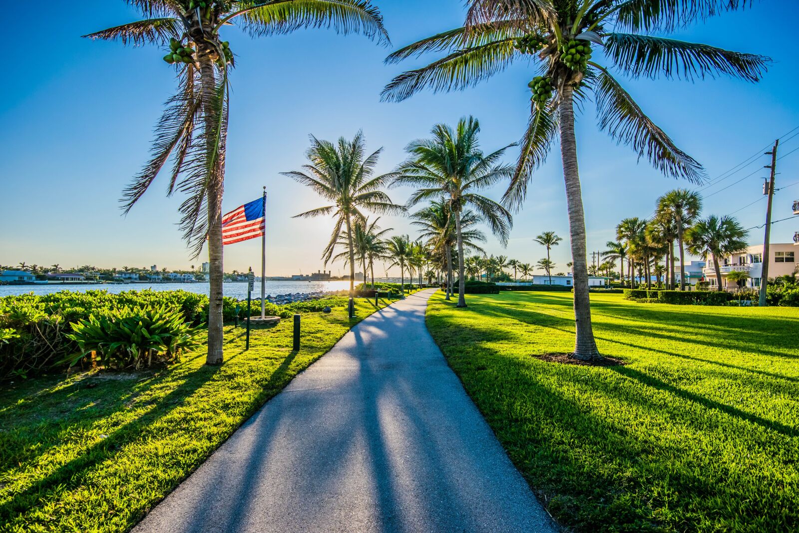 Nikon D5300 sample photo. Flag, sun, tree photography