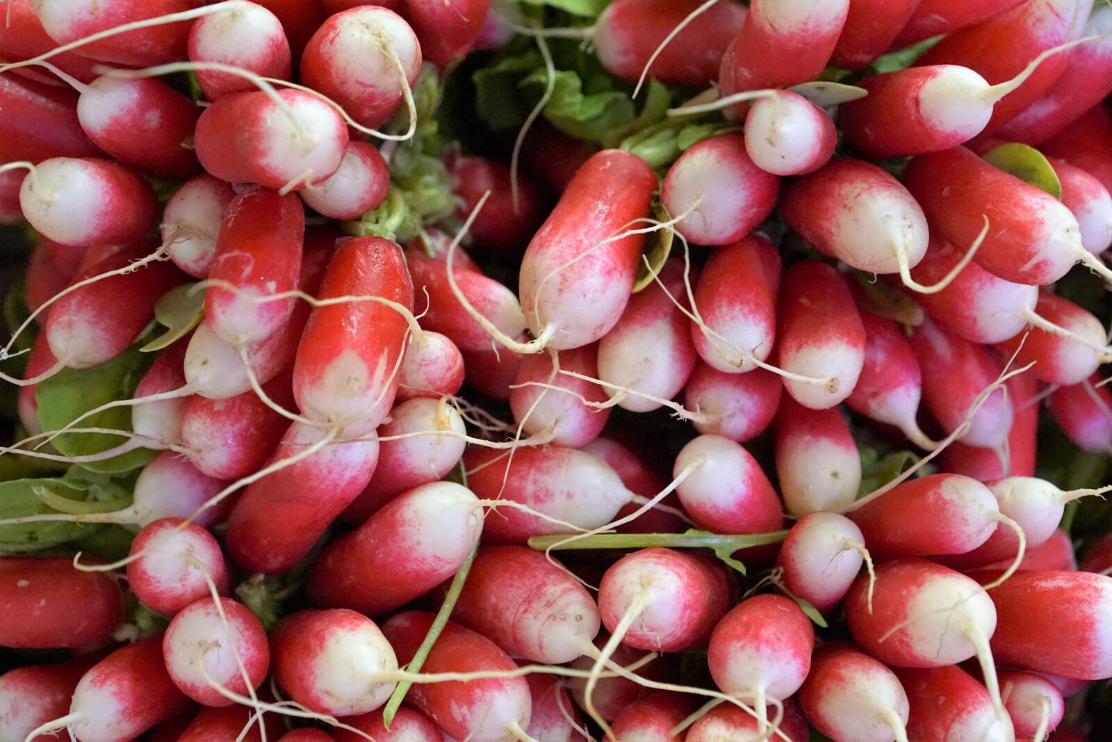 Sony ILCA-77M2 + Sony DT 16-50mm F2.8 SSM sample photo. Radishes, fruit, vegetables photography