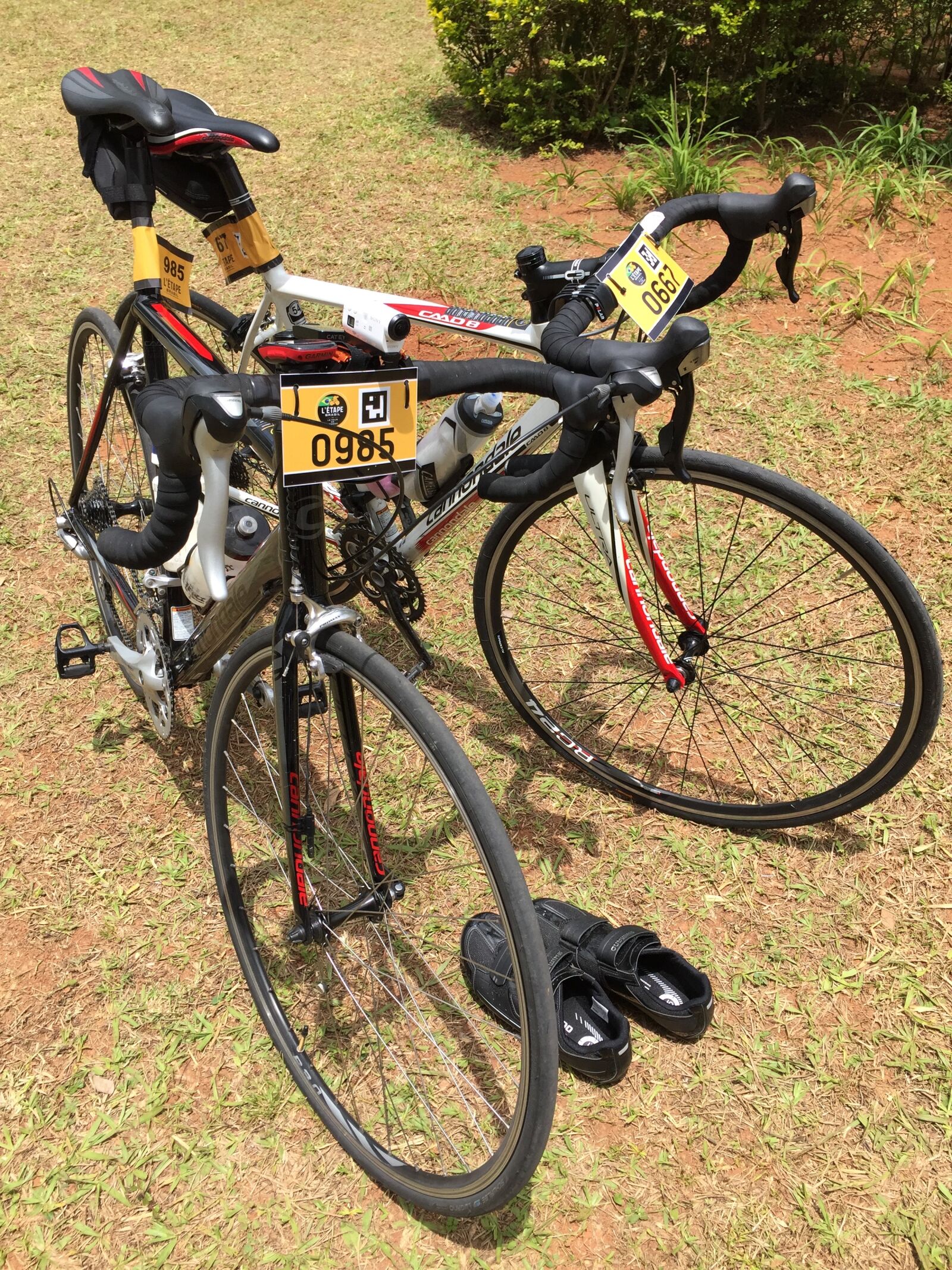Apple iPhone 6 sample photo. 2015, bicicleta, bike, ciclismo photography