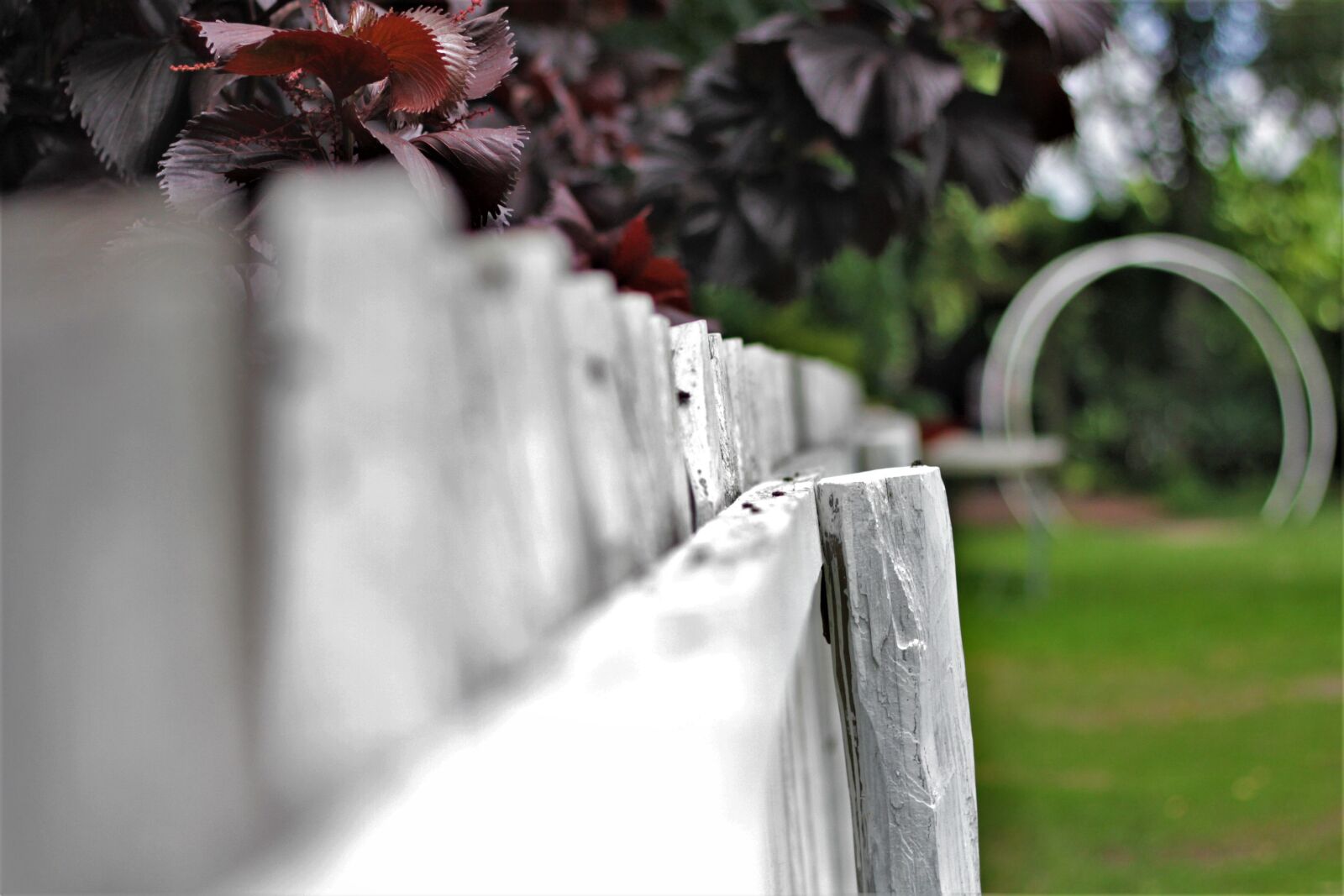 Canon EOS 7D sample photo. Earth hour, book day photography