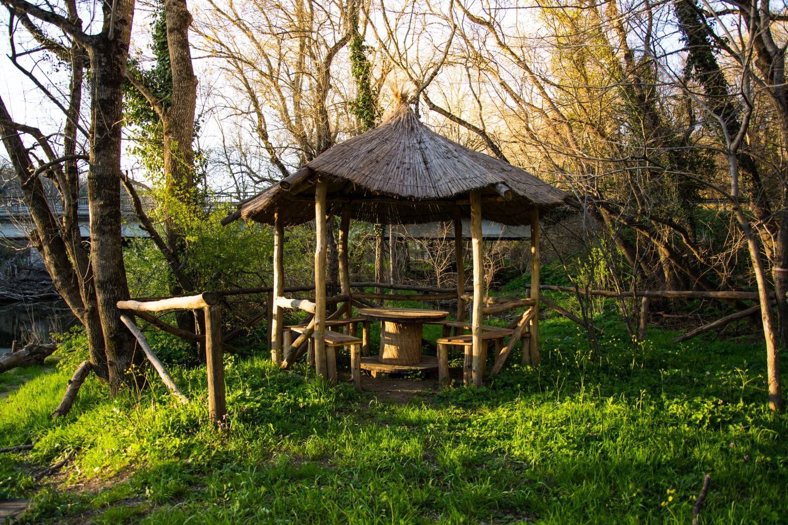 Nikon D7100 sample photo. Cabin, woods, green photography