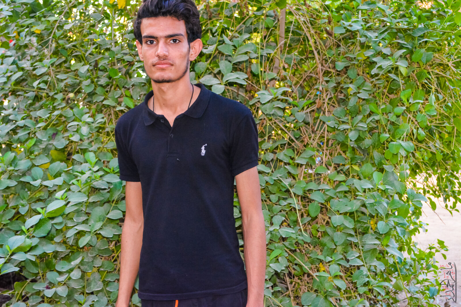Nikon D5200 sample photo
