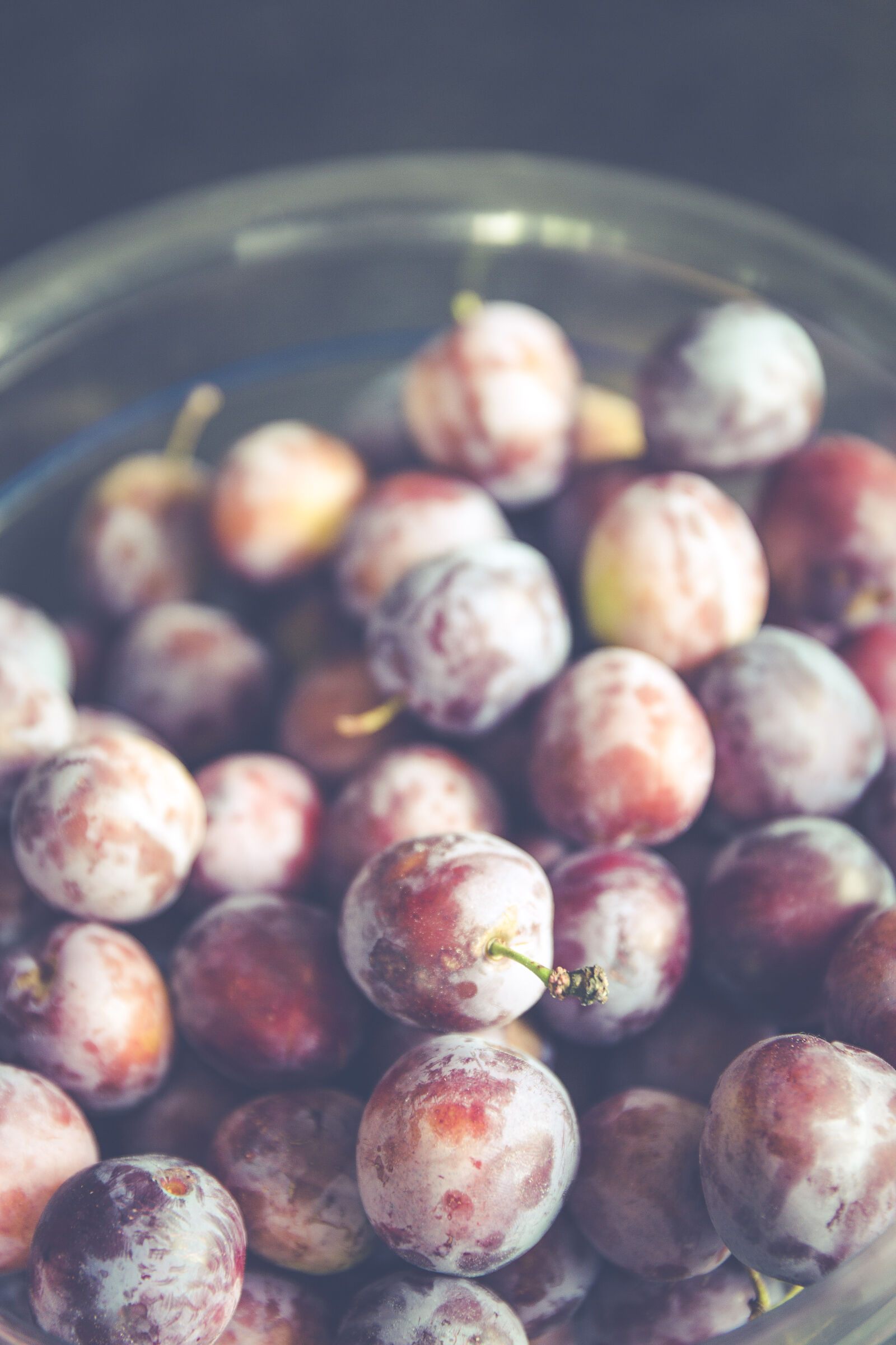 Canon EF 24-70mm F2.8L II USM sample photo. Food, healthy, nature, harvest photography