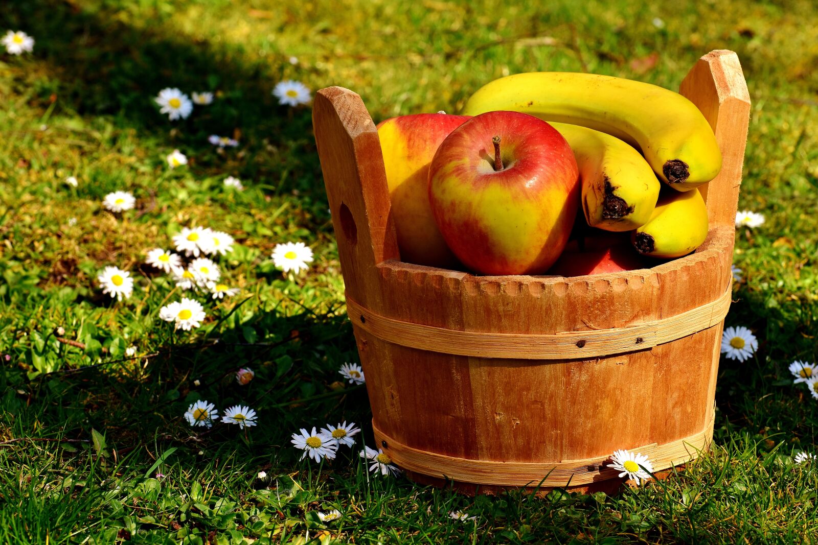 Nikon D7200 sample photo. Fruit, bananas, apple photography