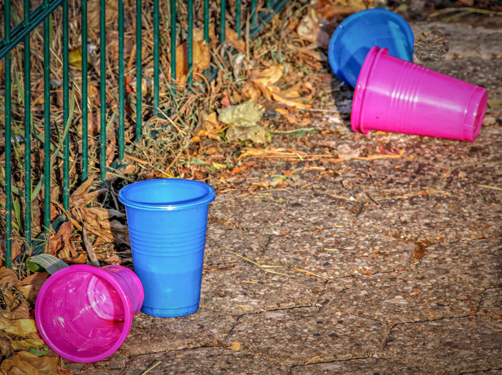 Canon EOS 60D sample photo. Plastic waste, garbage, resting photography