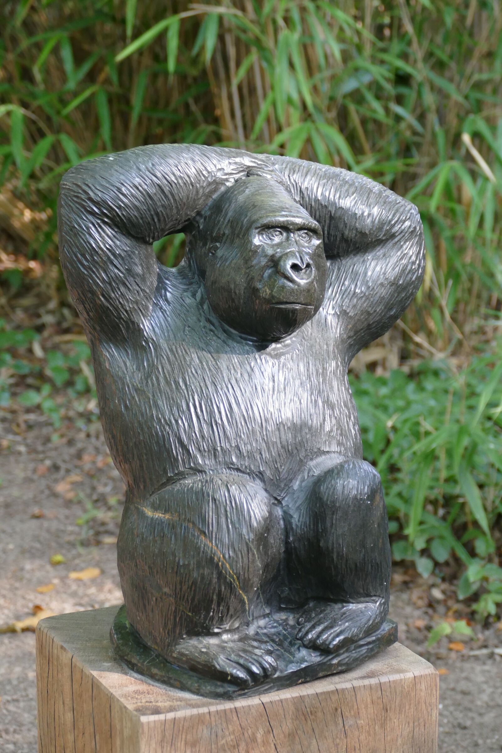Panasonic Lumix DMC-FZ1000 sample photo. Sculpture, figure, art photography
