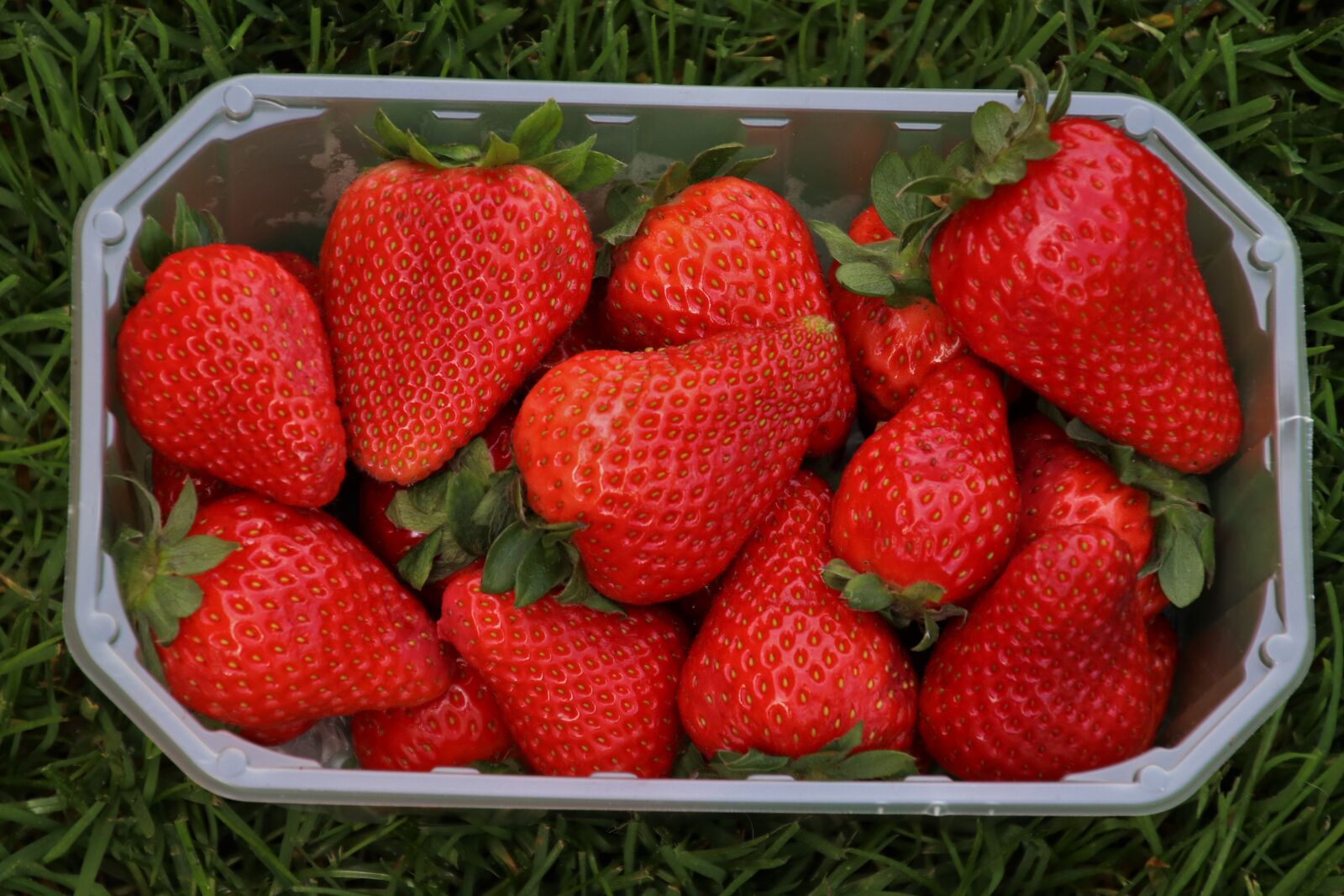 Canon EOS 80D sample photo. Strawberries, red, basket photography