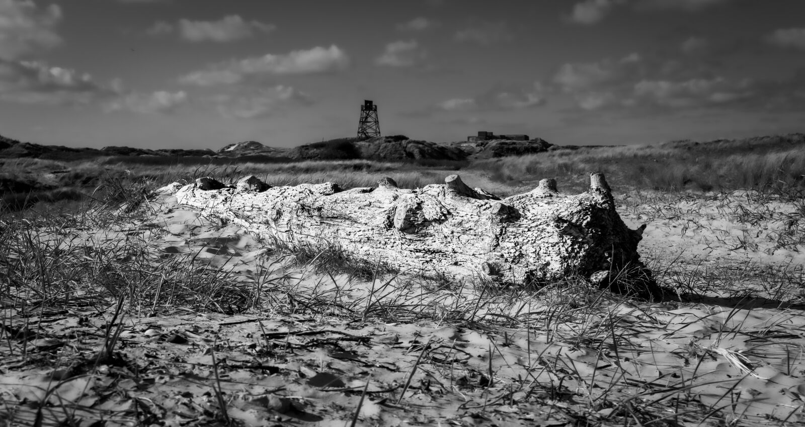 Nikon D3200 sample photo. Log, beach, black photography