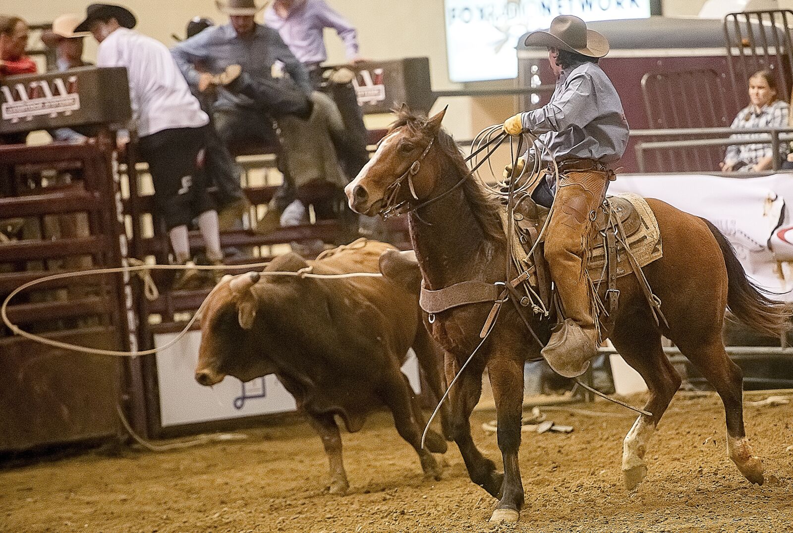 Nikon D850 sample photo. Cowboy, rodeo, western photography