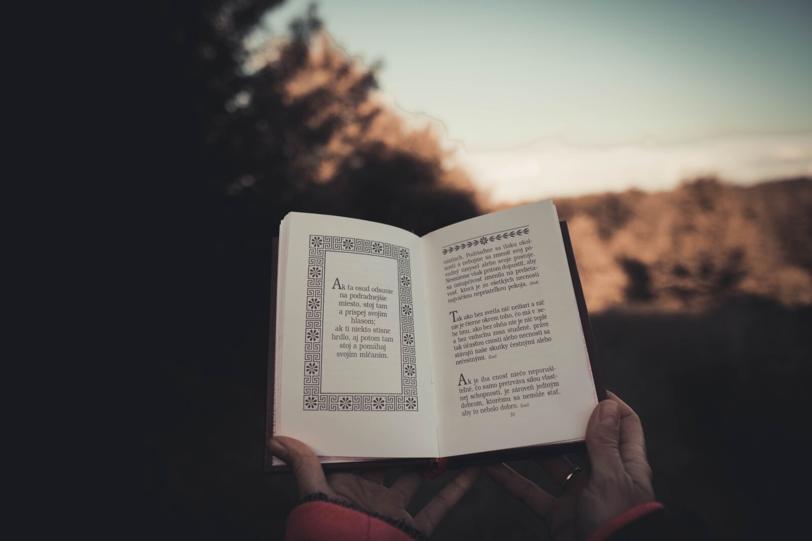 Sony a6400 + Sigma 16mm F1.4 DC DN | C sample photo. Stocizmus, philosophy, book photography