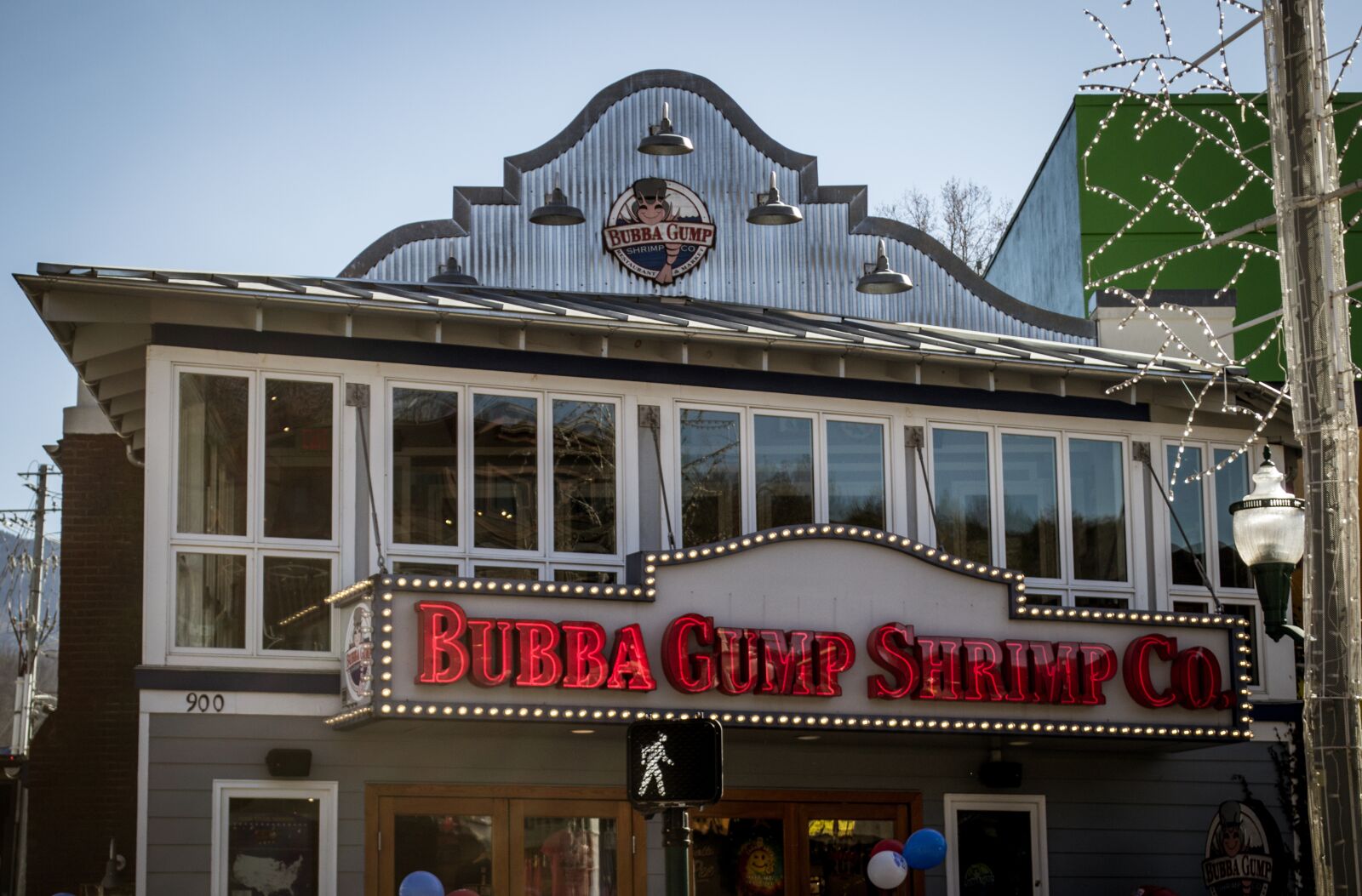 Nikon D3100 sample photo. Bubba, bubba gump, shrimps photography